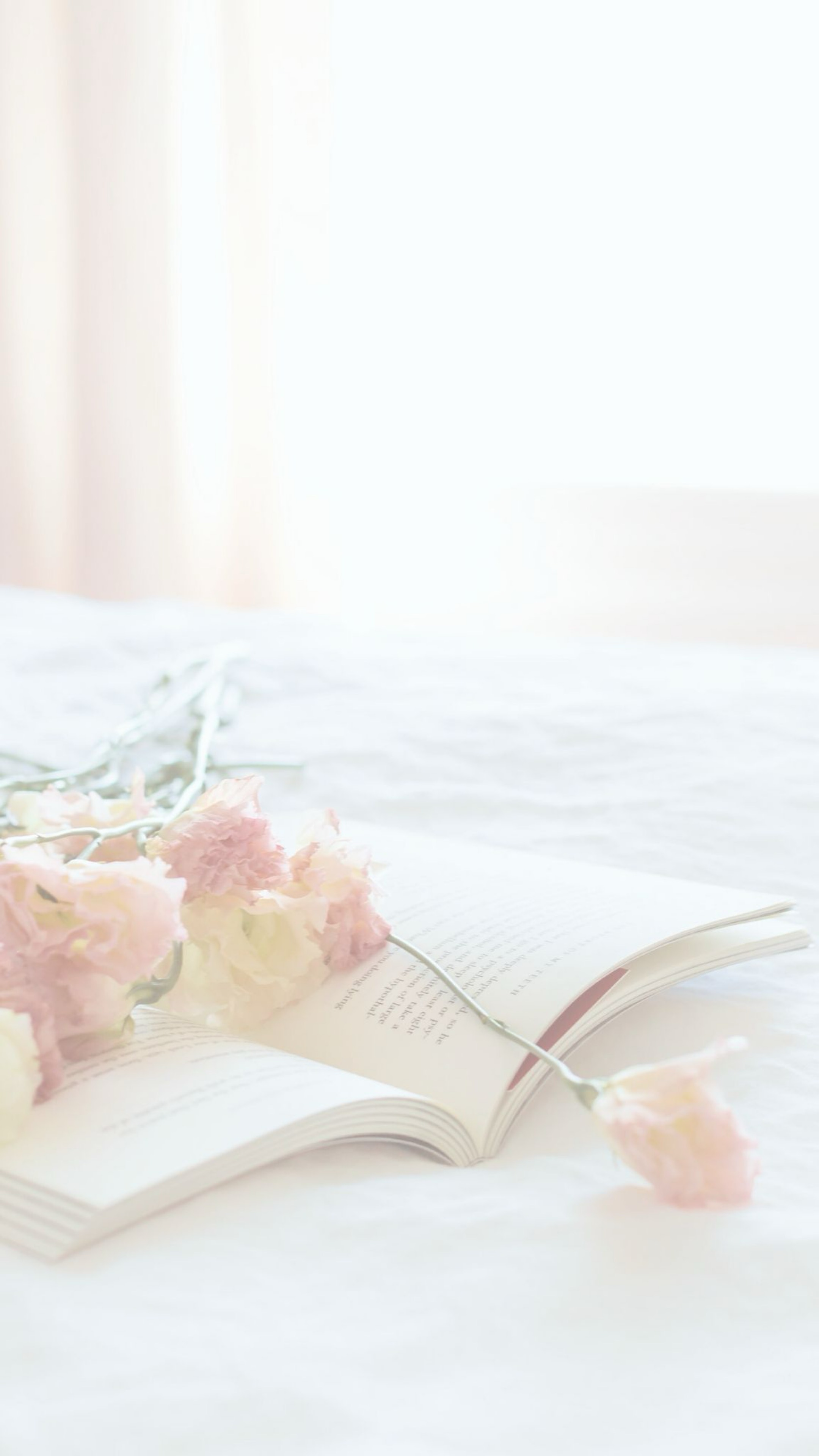 ヨルシカ歌います𓂃 𓈒𓏸