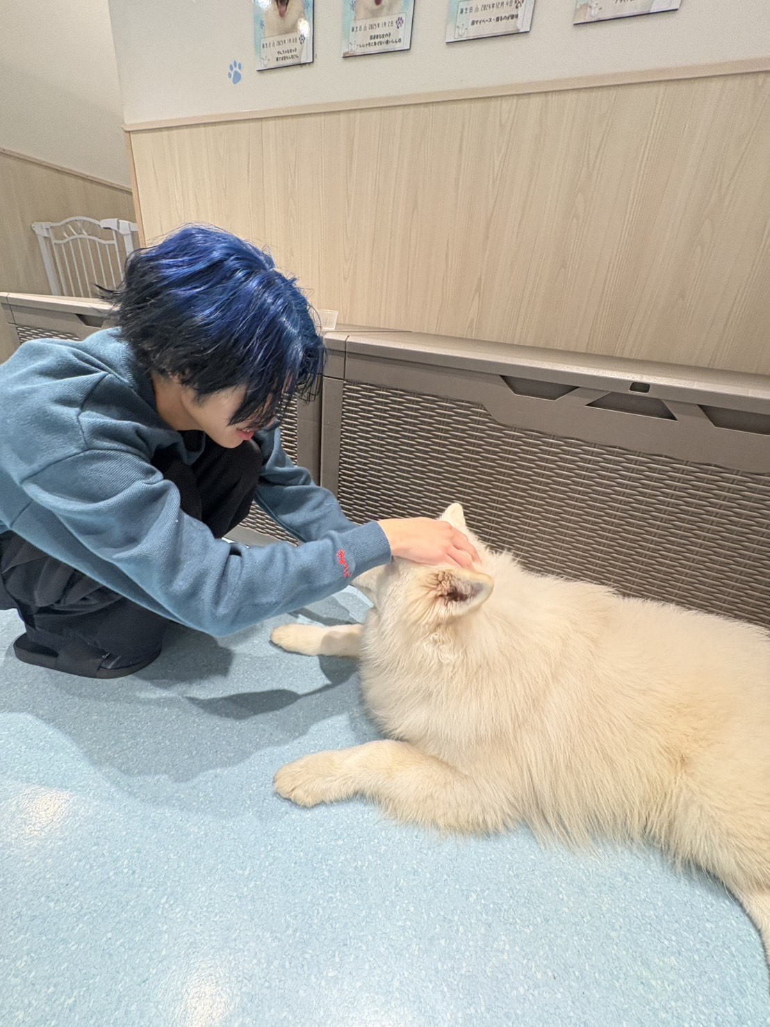 はなしにがてだけど話して