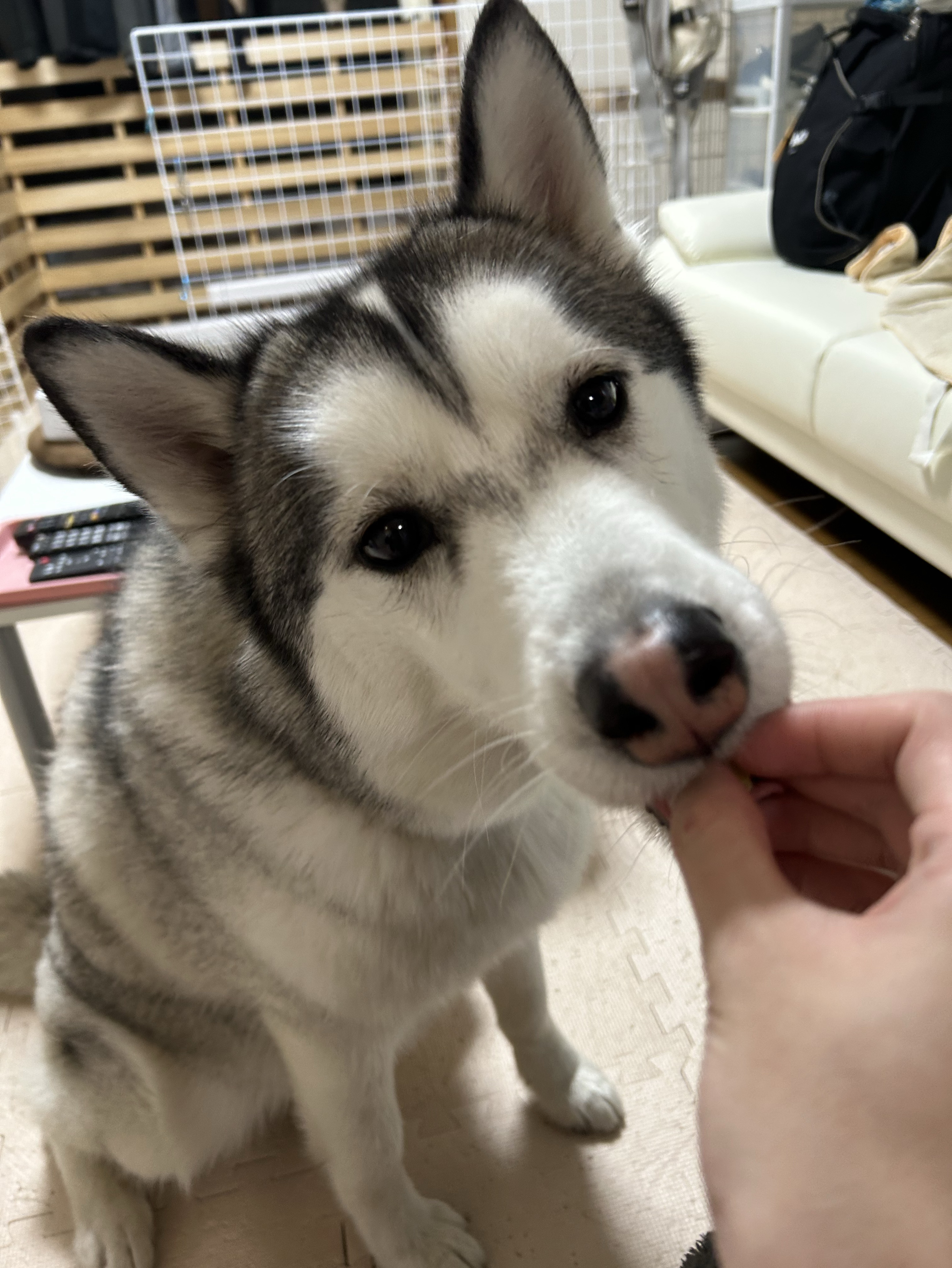 暇な人おいで〜