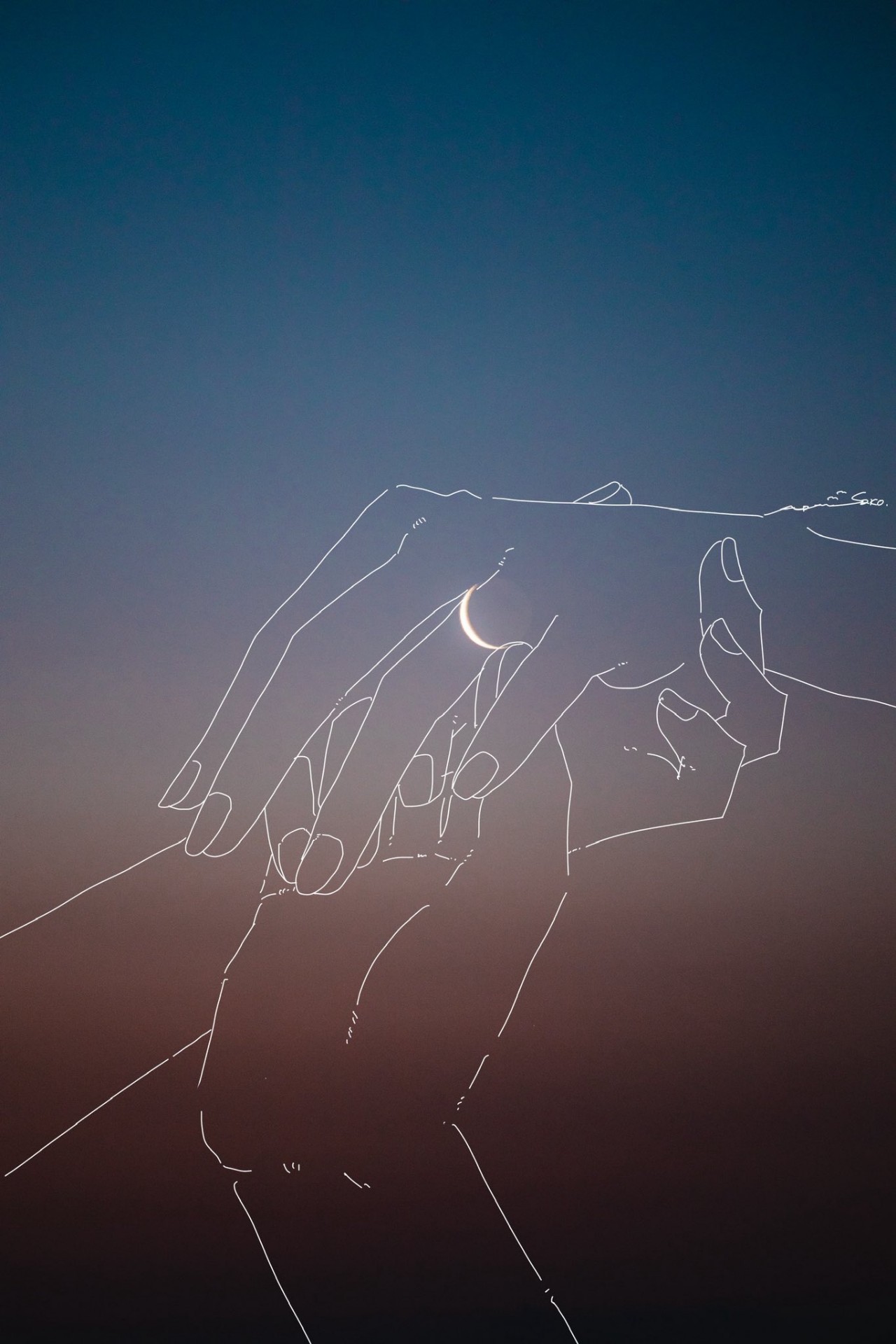 片付け、勉強、たまにお昼寝