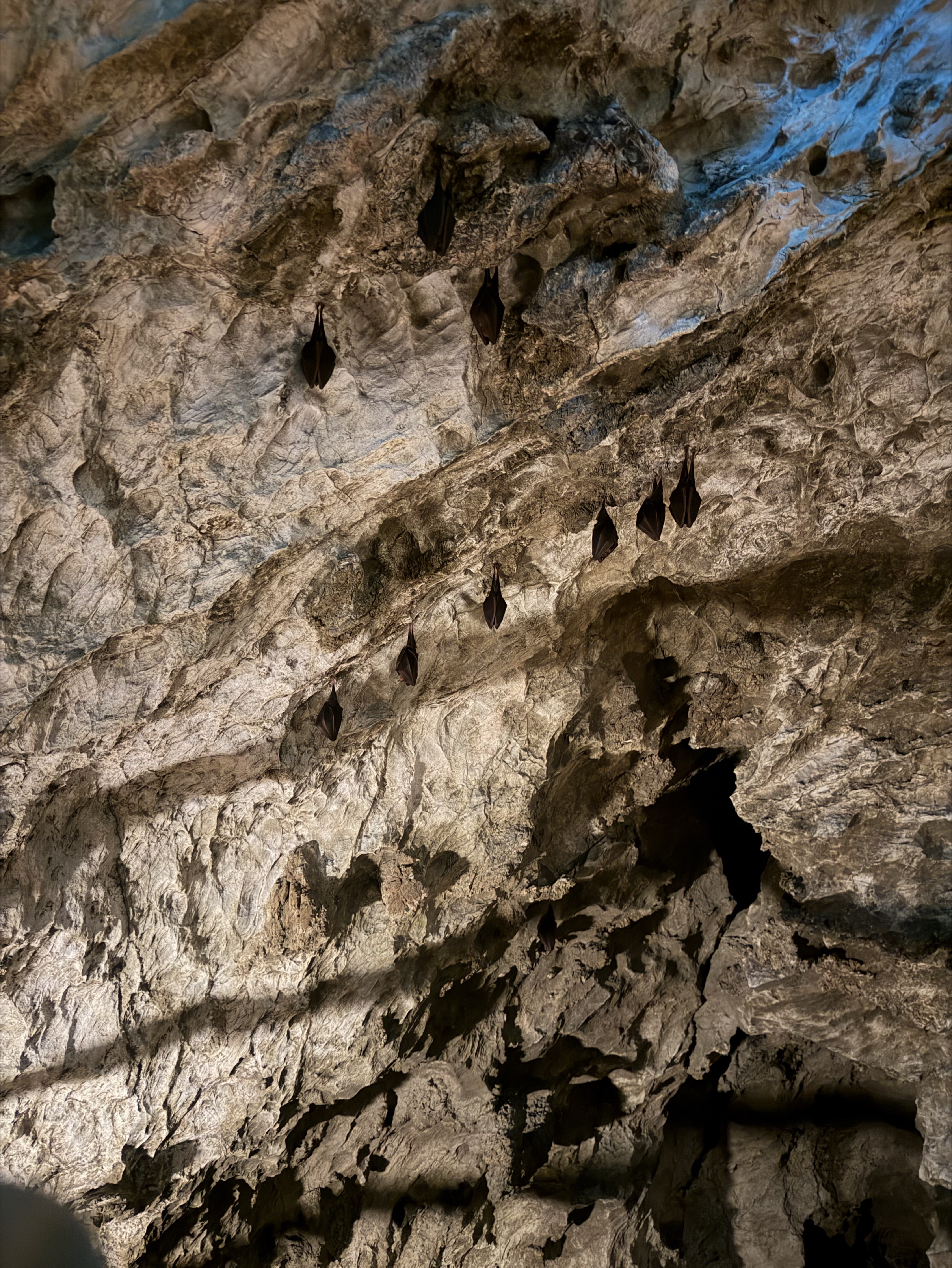 お店が開くまで暇人ジャケット紛失おいた