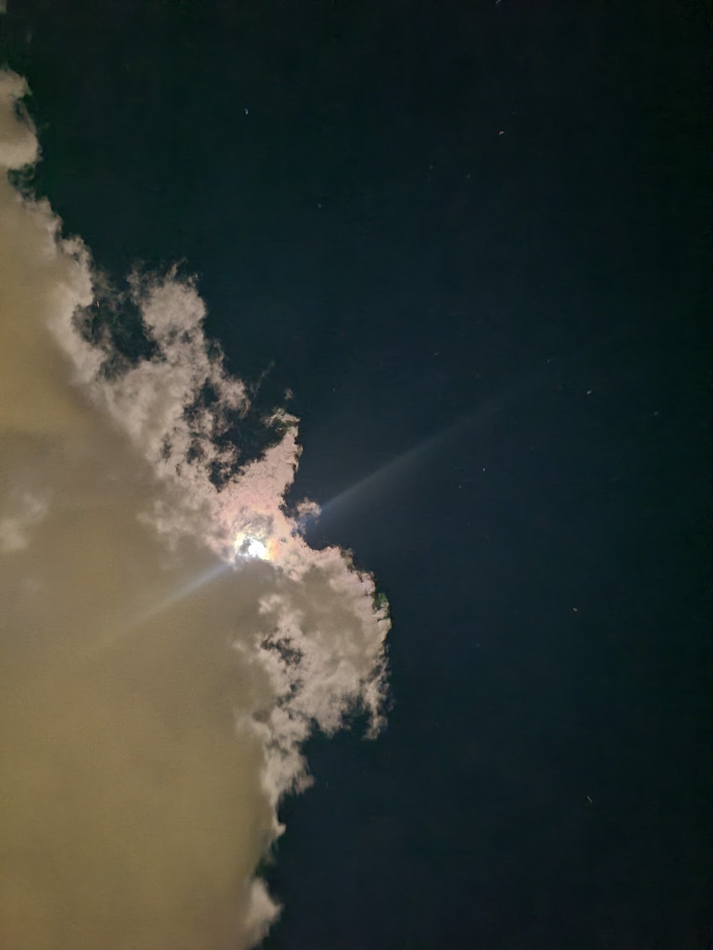 新月タロット！