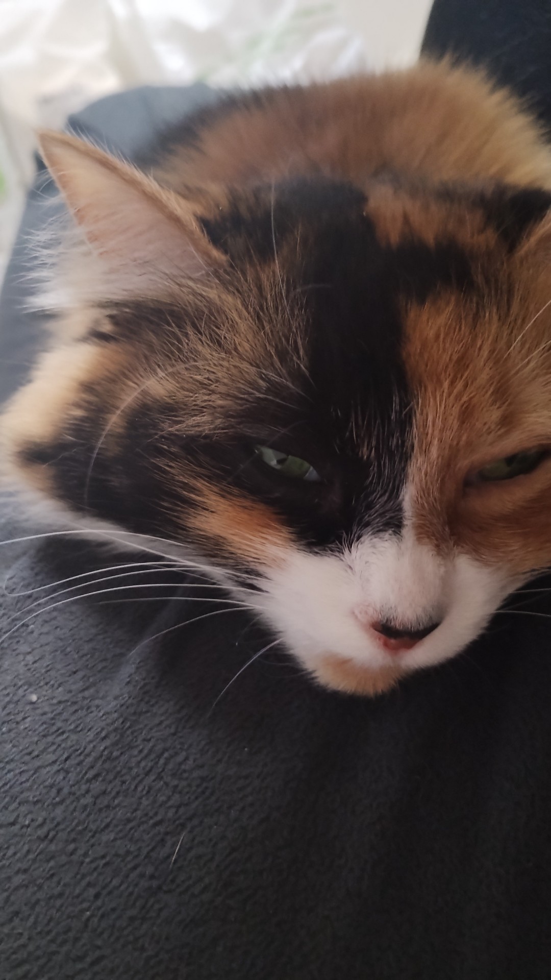 相談受付@中低音声男