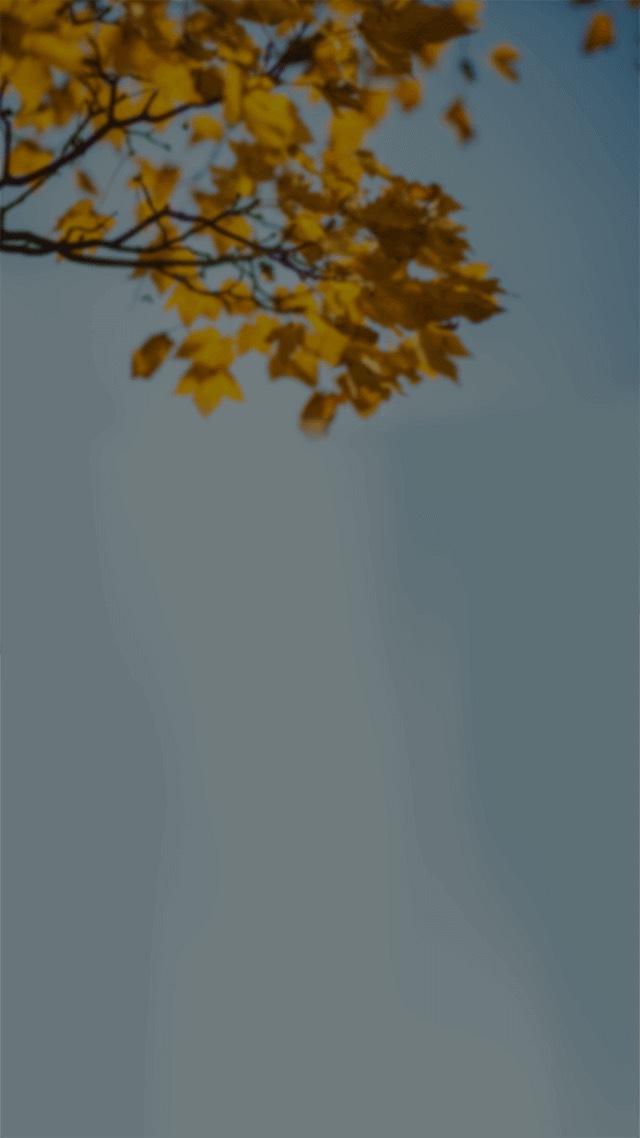 ⟡低音歌雑⟡よみ。ごはんとおねんね