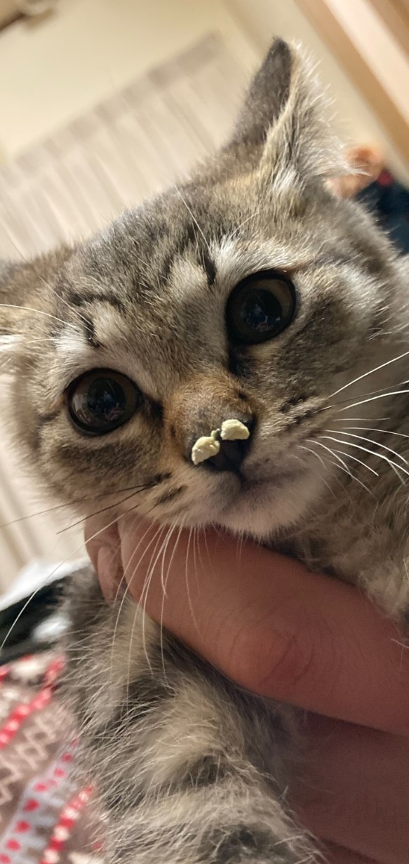 暇だからなんか話そうぜ！