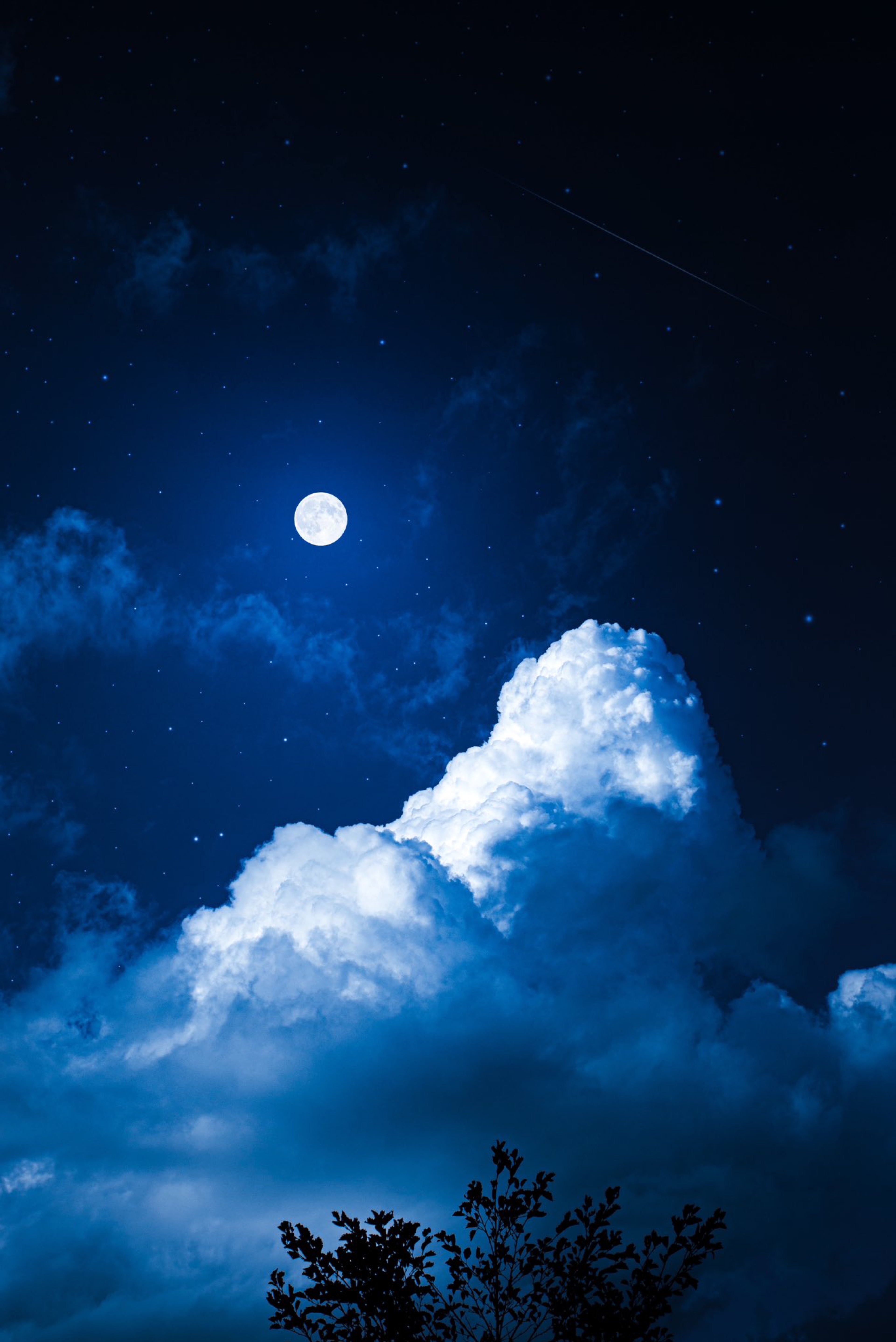 お話しましょうか〜。