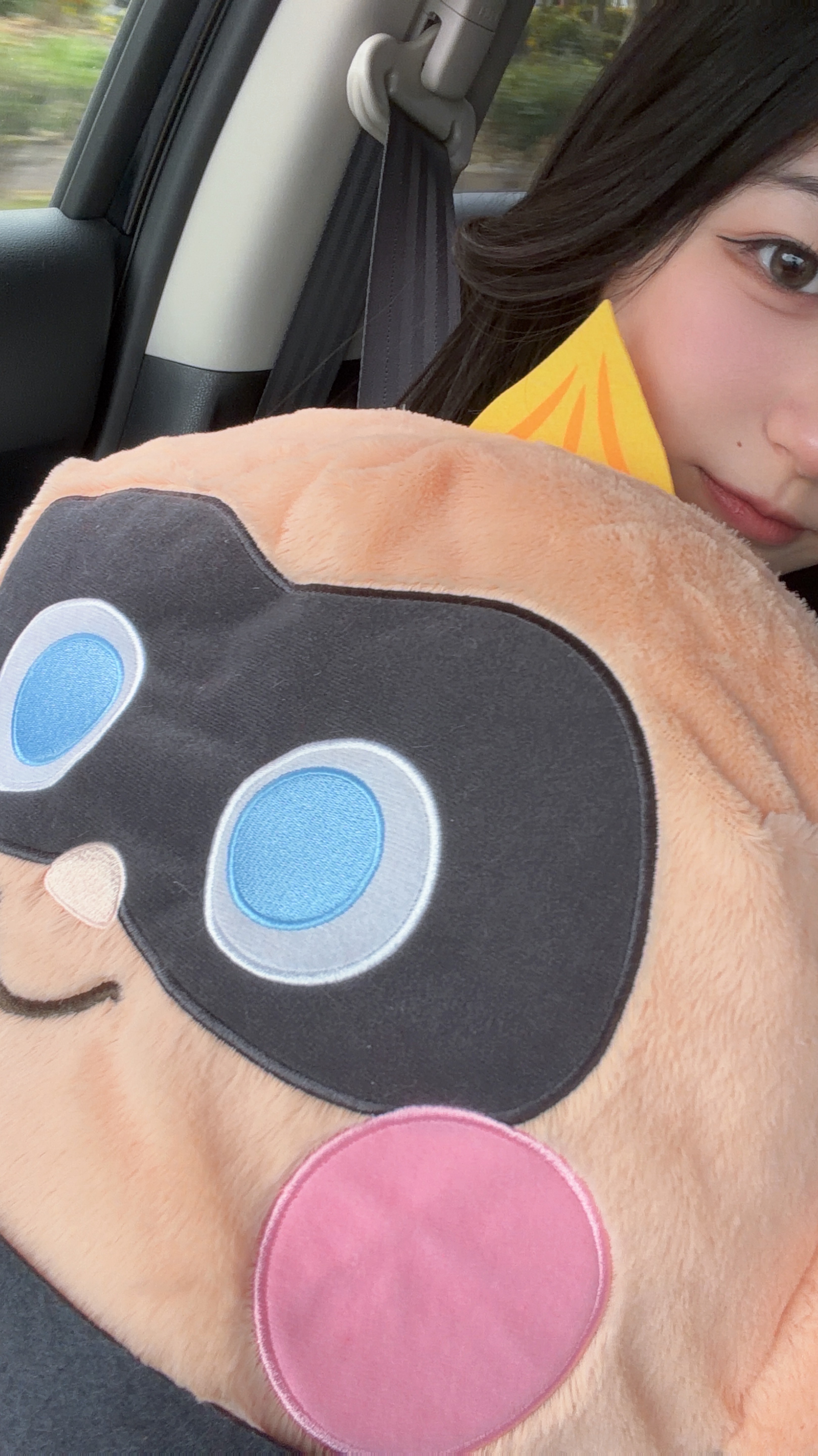 勉強🦋‪𓂃 𓈒