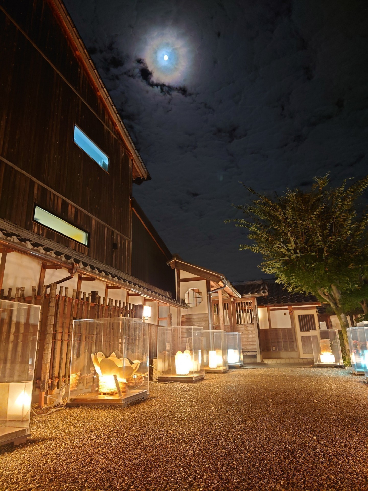 雨音と共に主も寝落ち枠