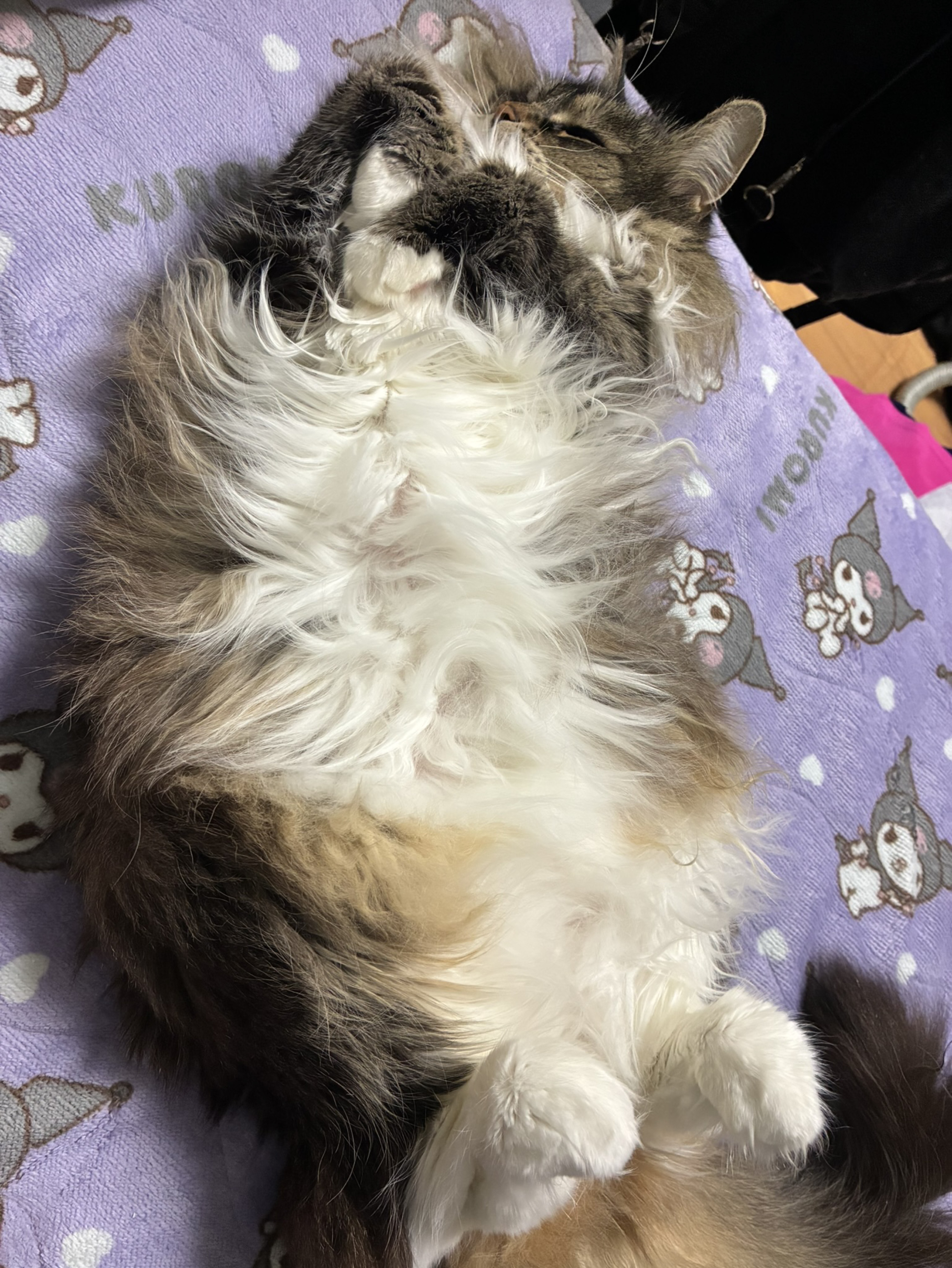 まったり漫画読んでる  初潜寝〇