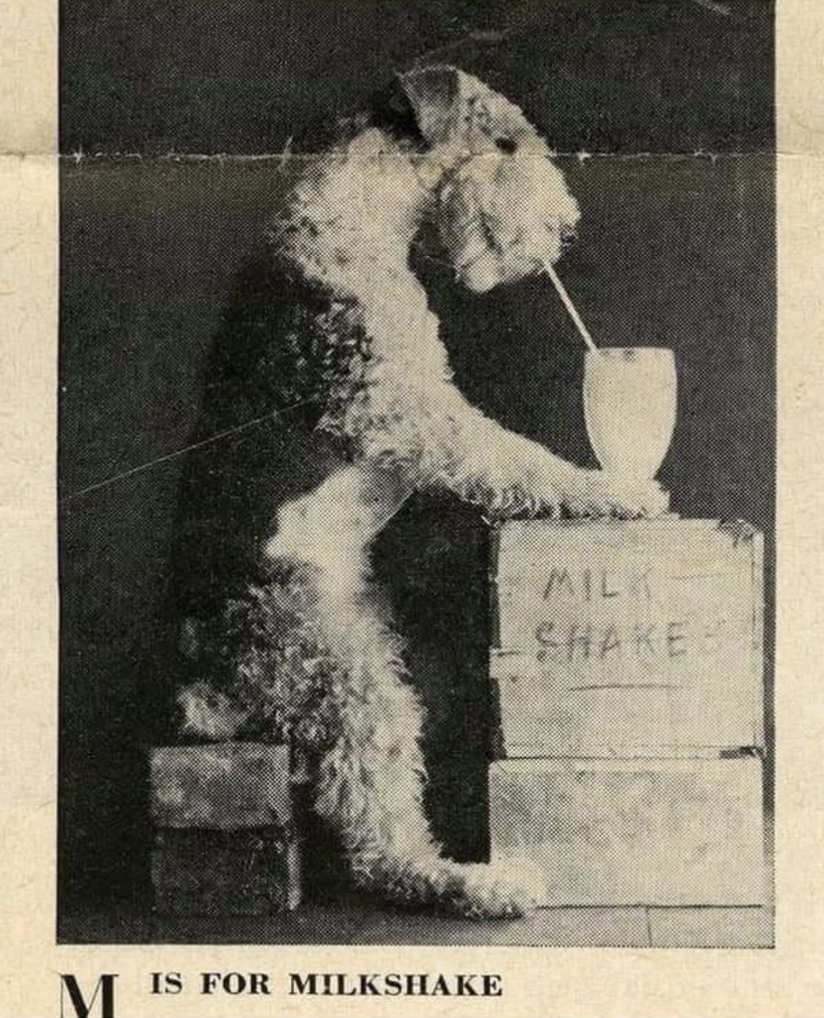 ________‎ 𓌉𓇋 ‎