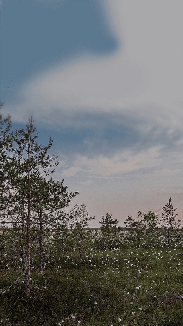 寝る前にまったり話そ！初見歓迎！