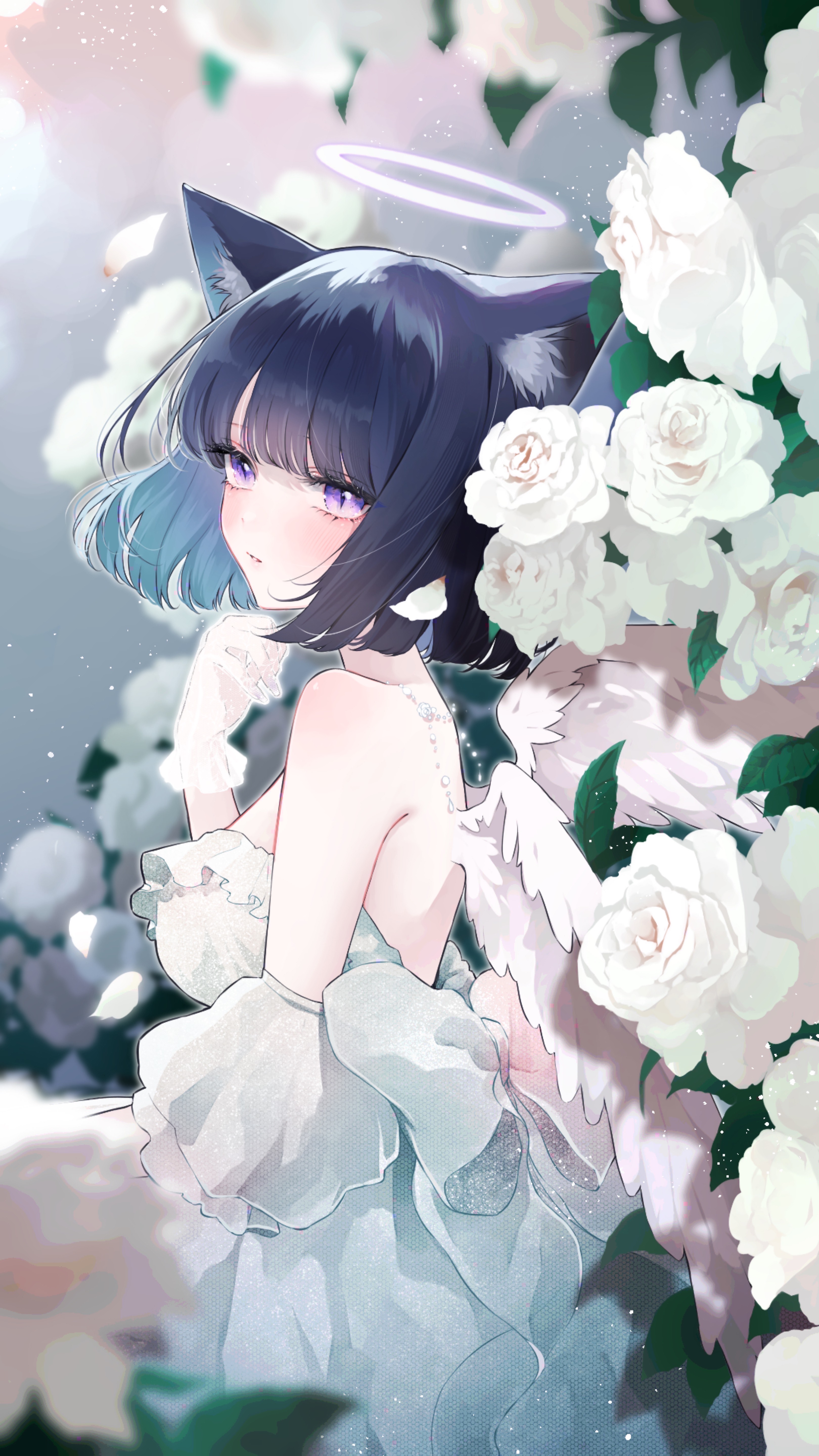 お昼をお知らせします⋆͛📢⋆