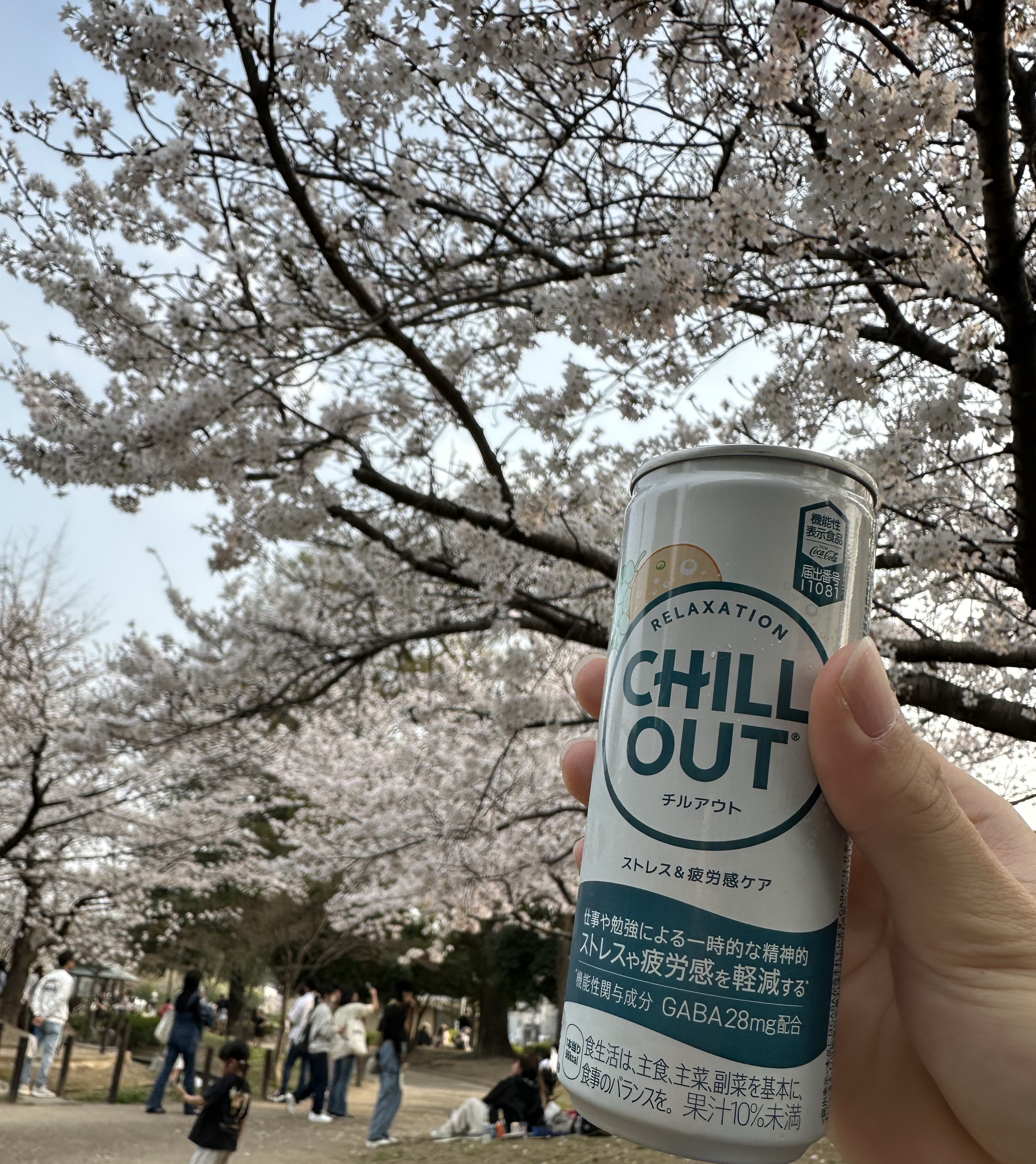 初見が欲しい雑談