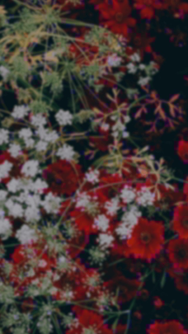 一緒に寝落ちしようね