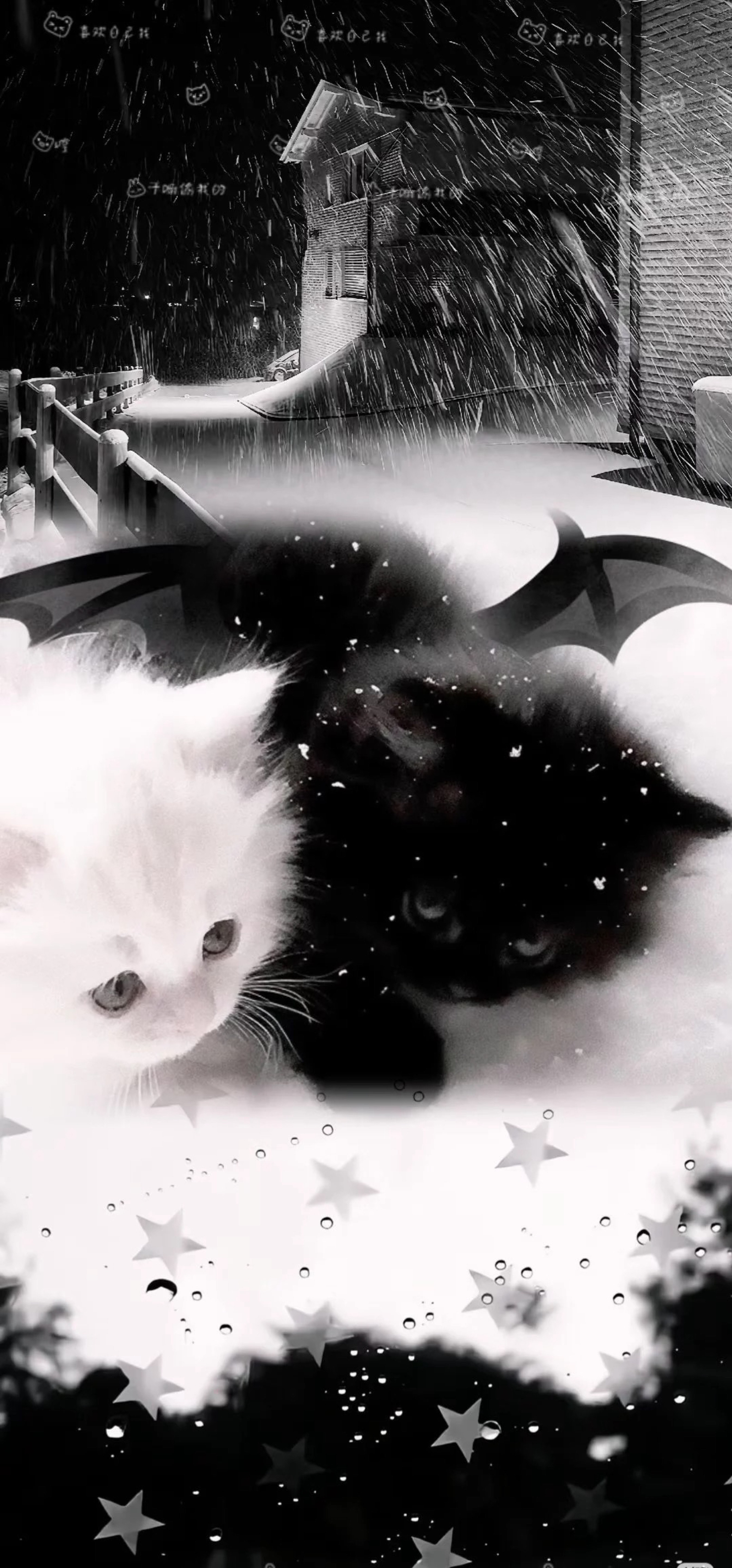 𝟤𝗁 ┊︎君の精神安定剤 💭⟡꙳