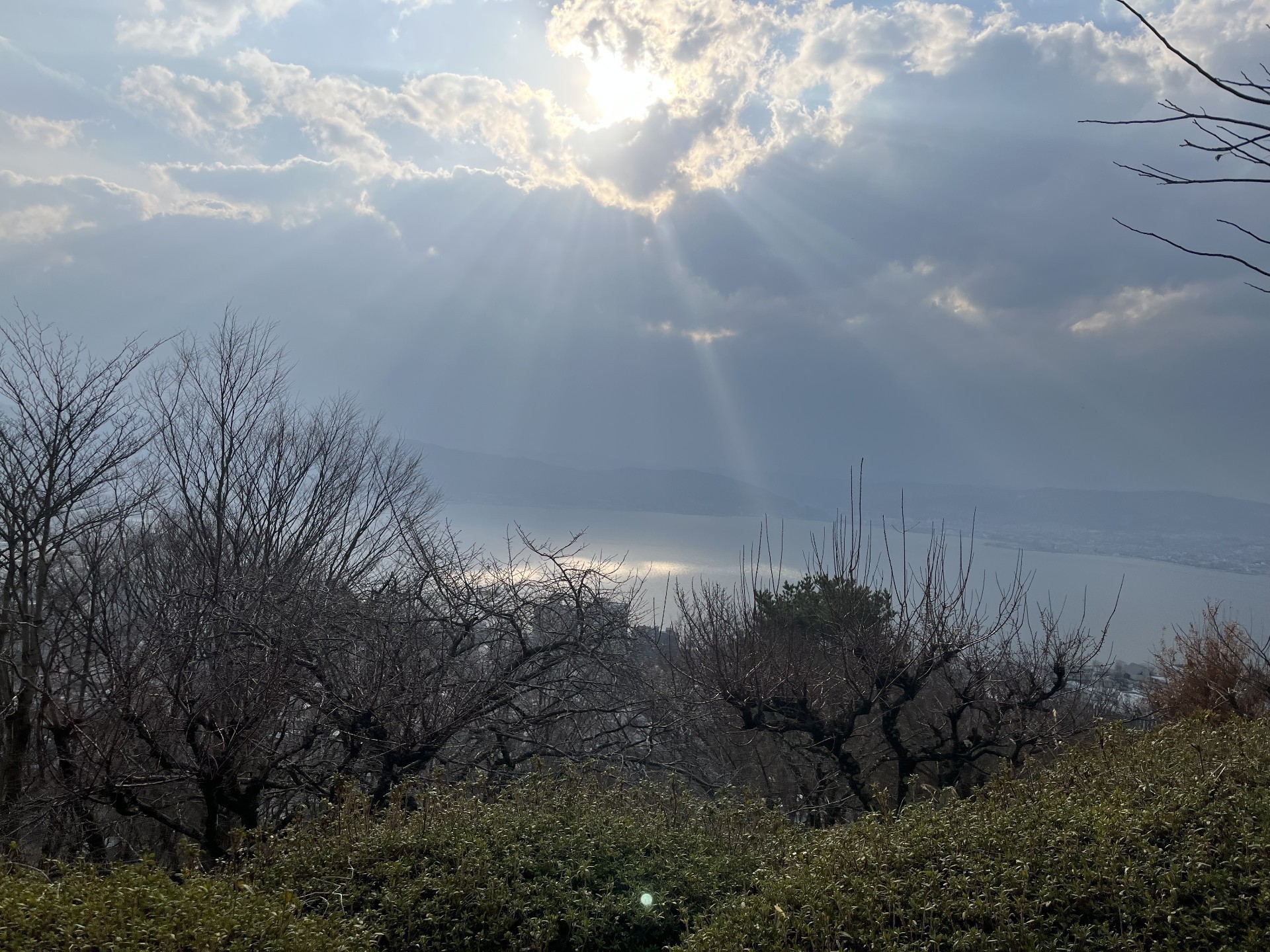 はなそー（げむしながら