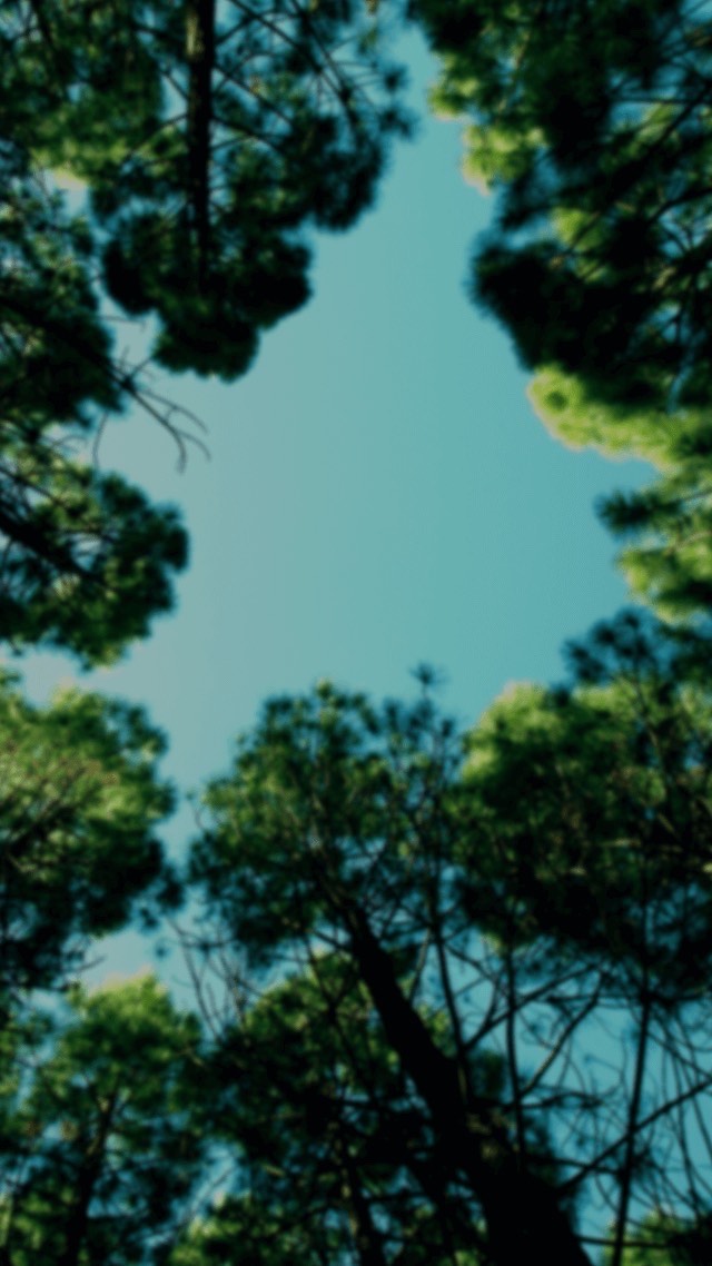 🔰初見さん…どうか…！