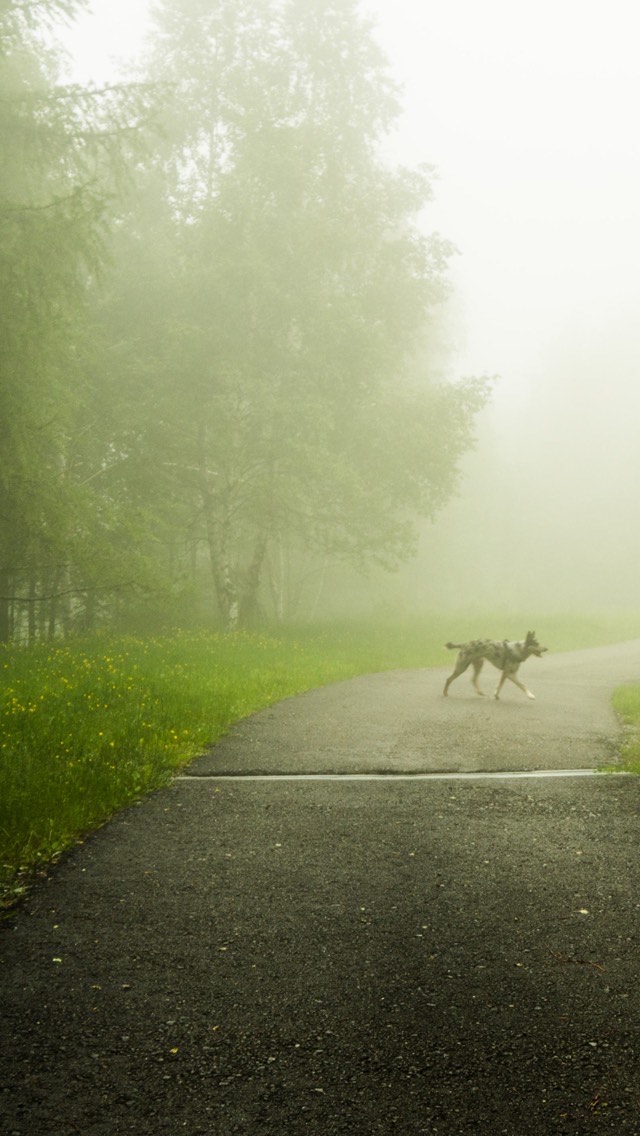 初見⭕️コラボ⭕️寝落ち⭕️雑談