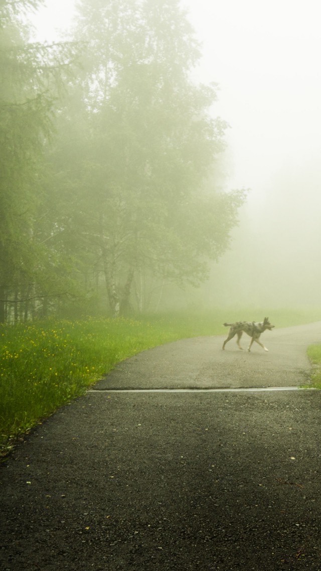 初見⭕️コラボ⭕️寝落ち⭕️雑談
