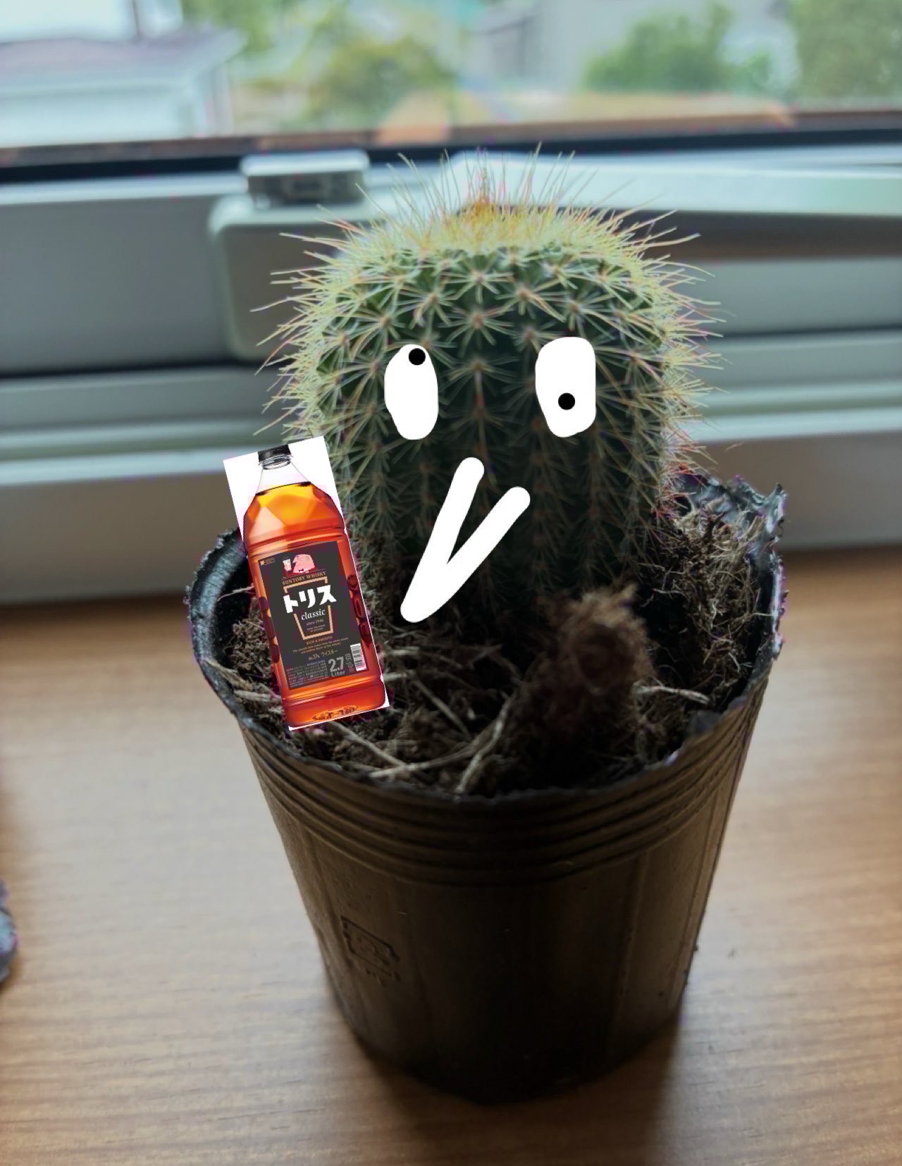 飲み枠コラボ○月曜日お疲れさま🍻