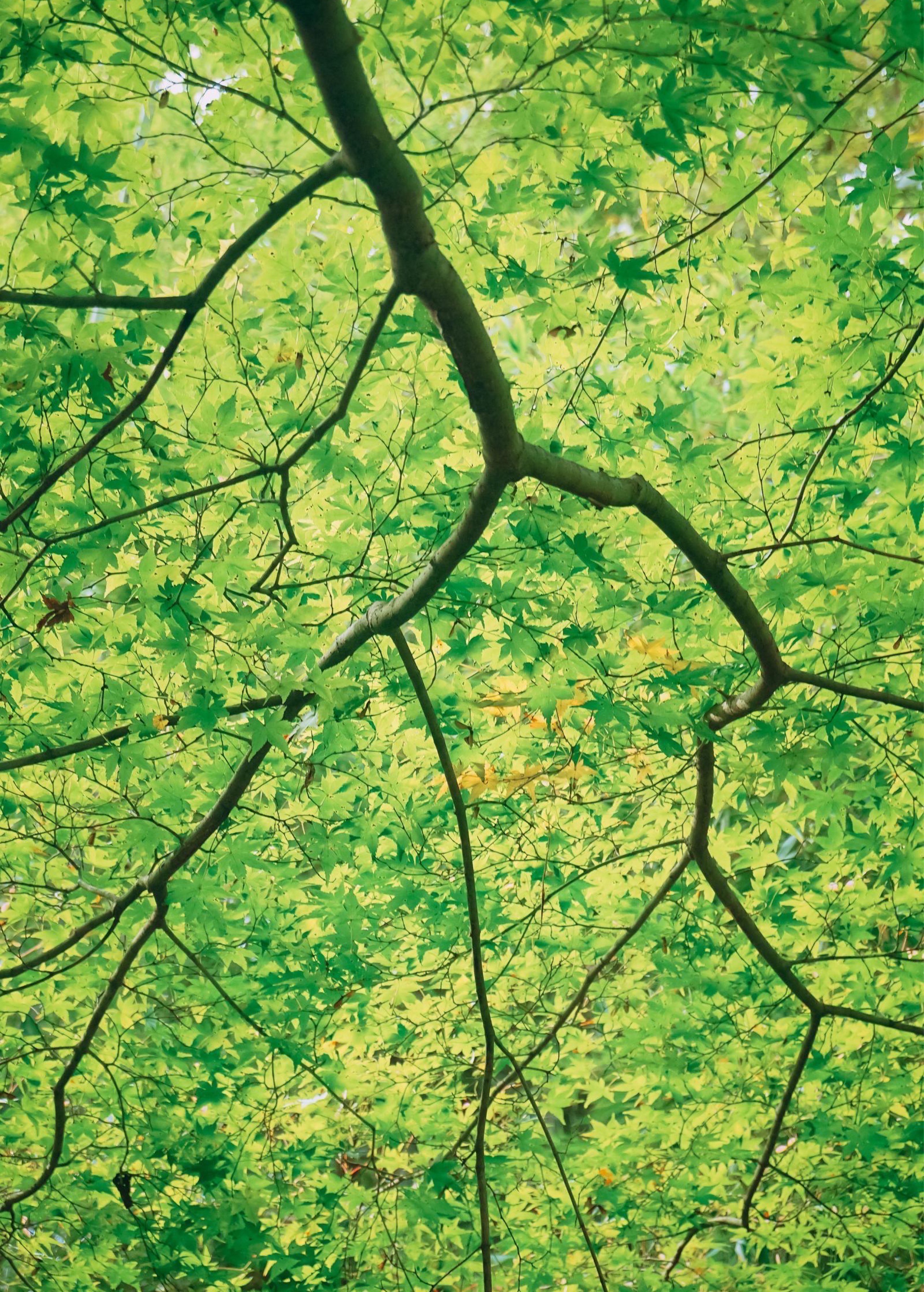 [自習室]無言で作業中：突然終了！