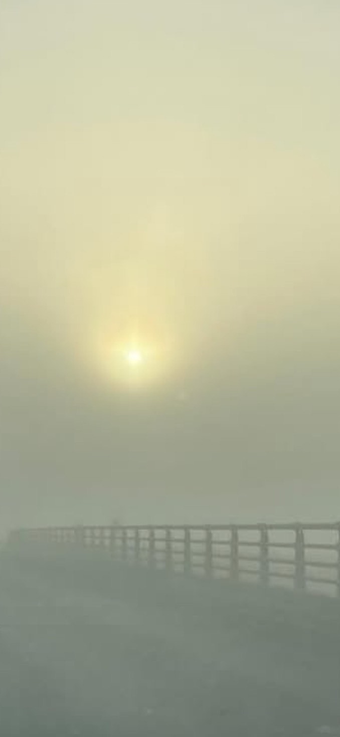 雀魂、ゴッフィー、お酒コラボ自由雑談