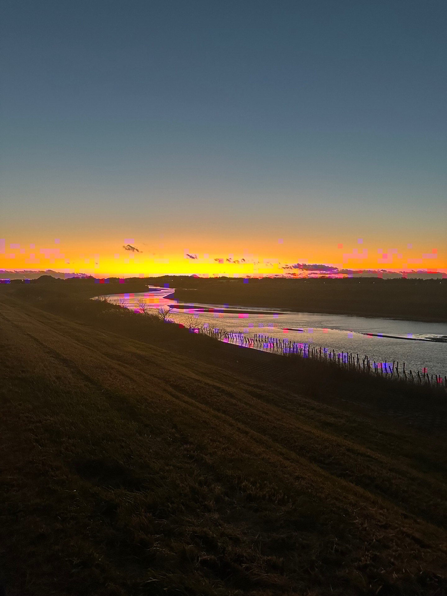 すーぷんはコラボ枠無料にしろ