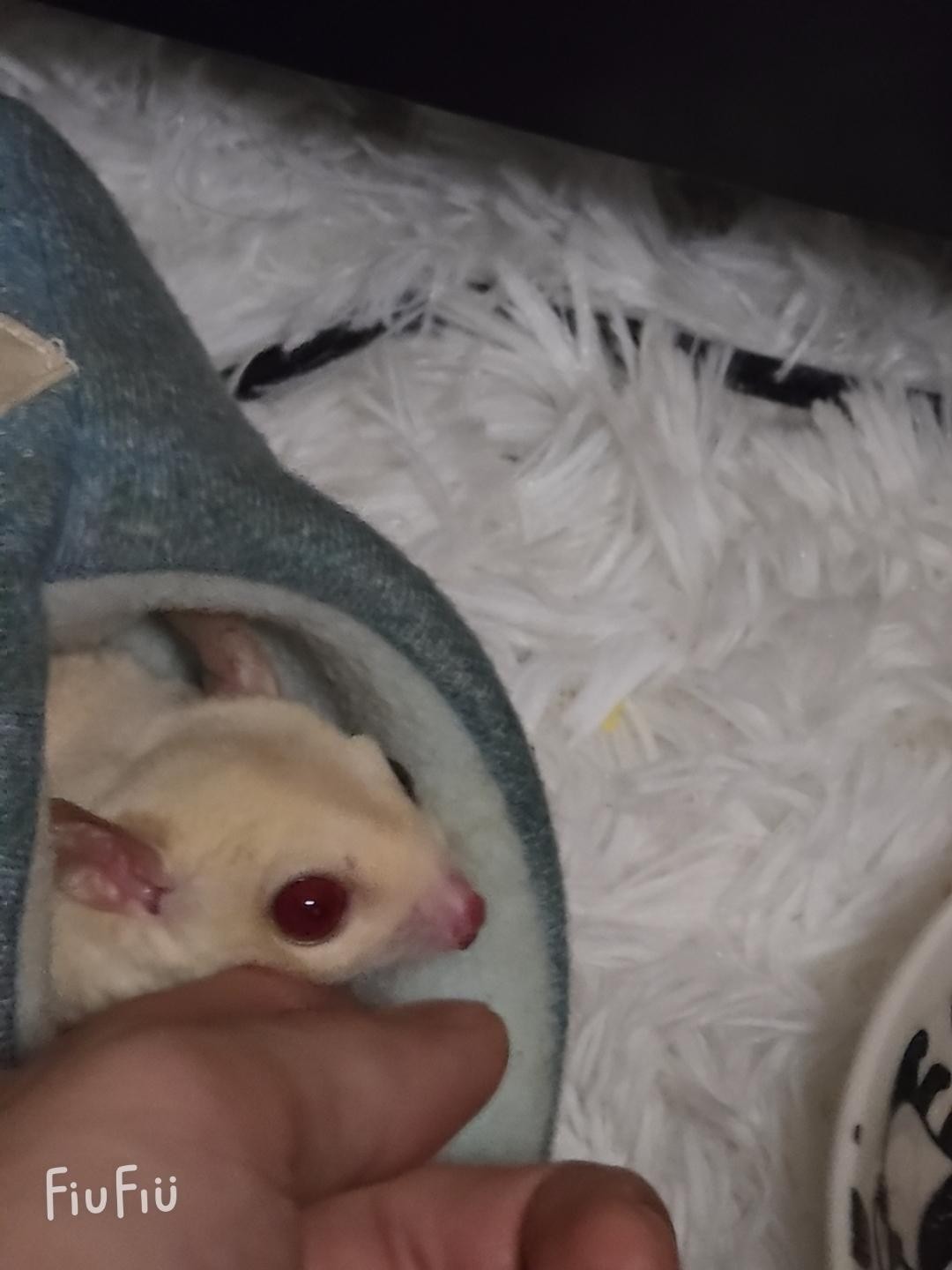 初見歓迎◎寝てく？