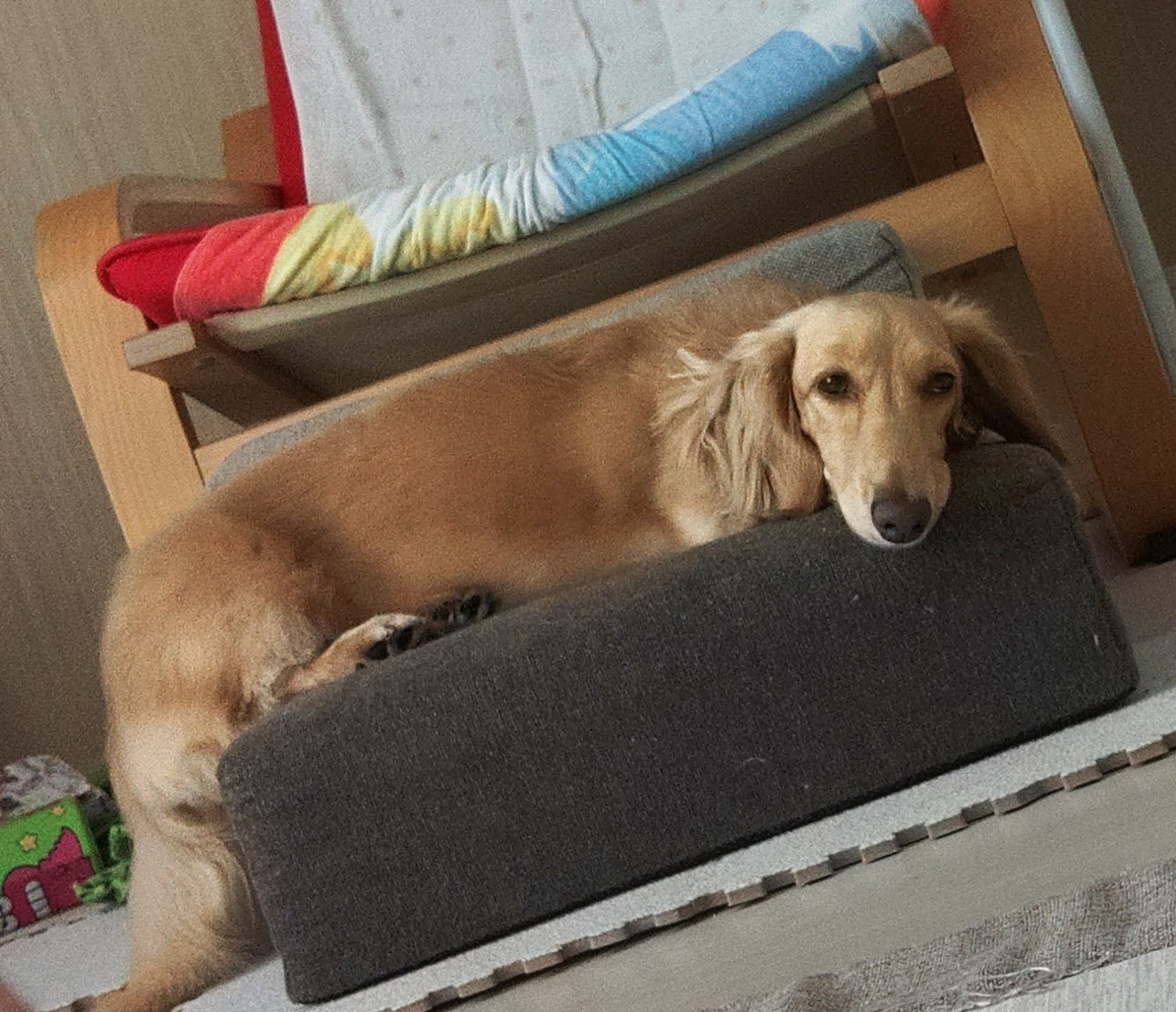 15歳男子の寝落ちするかも配信