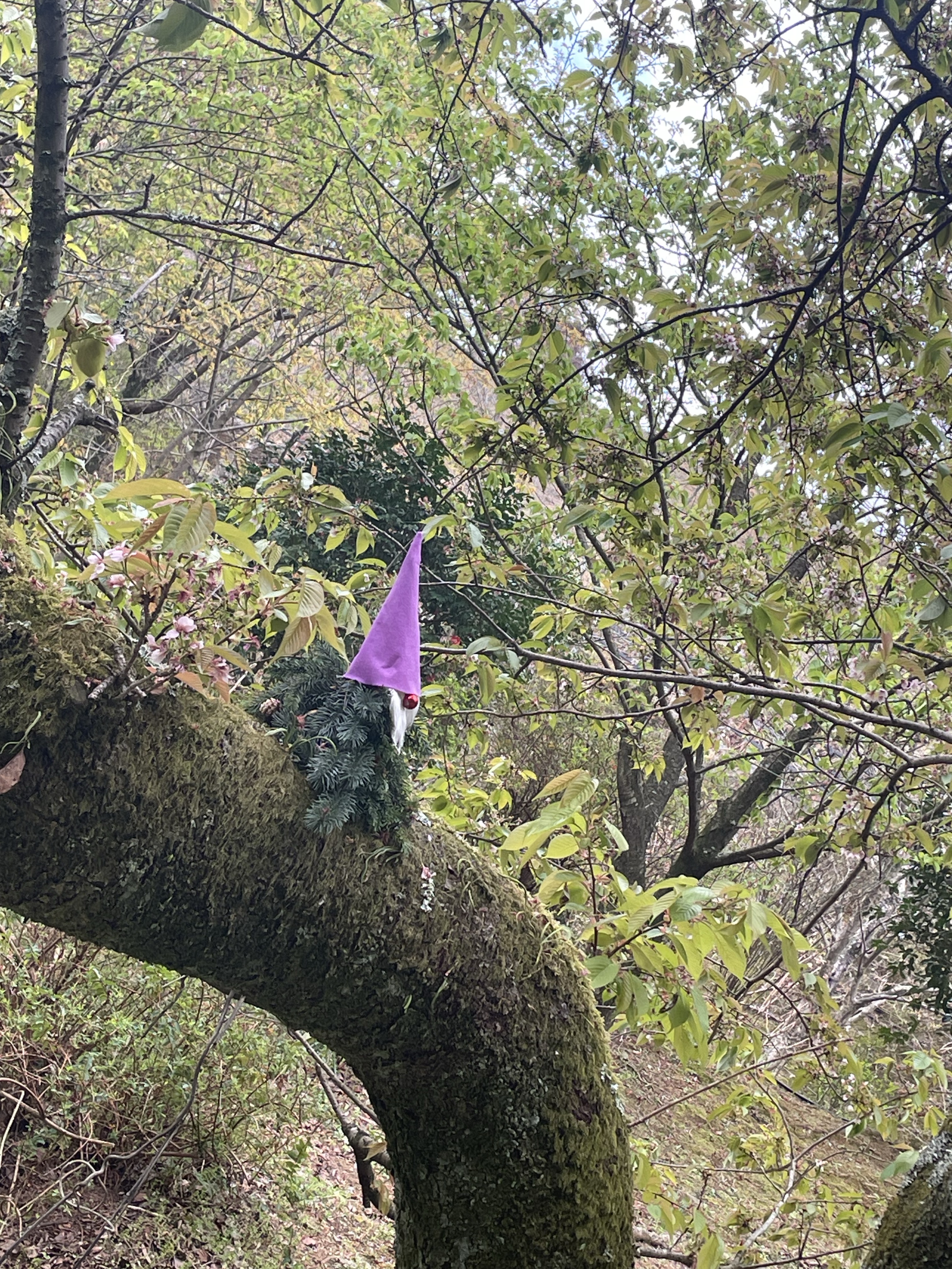 勉強8割 雑談2割ぐらいの配信したい