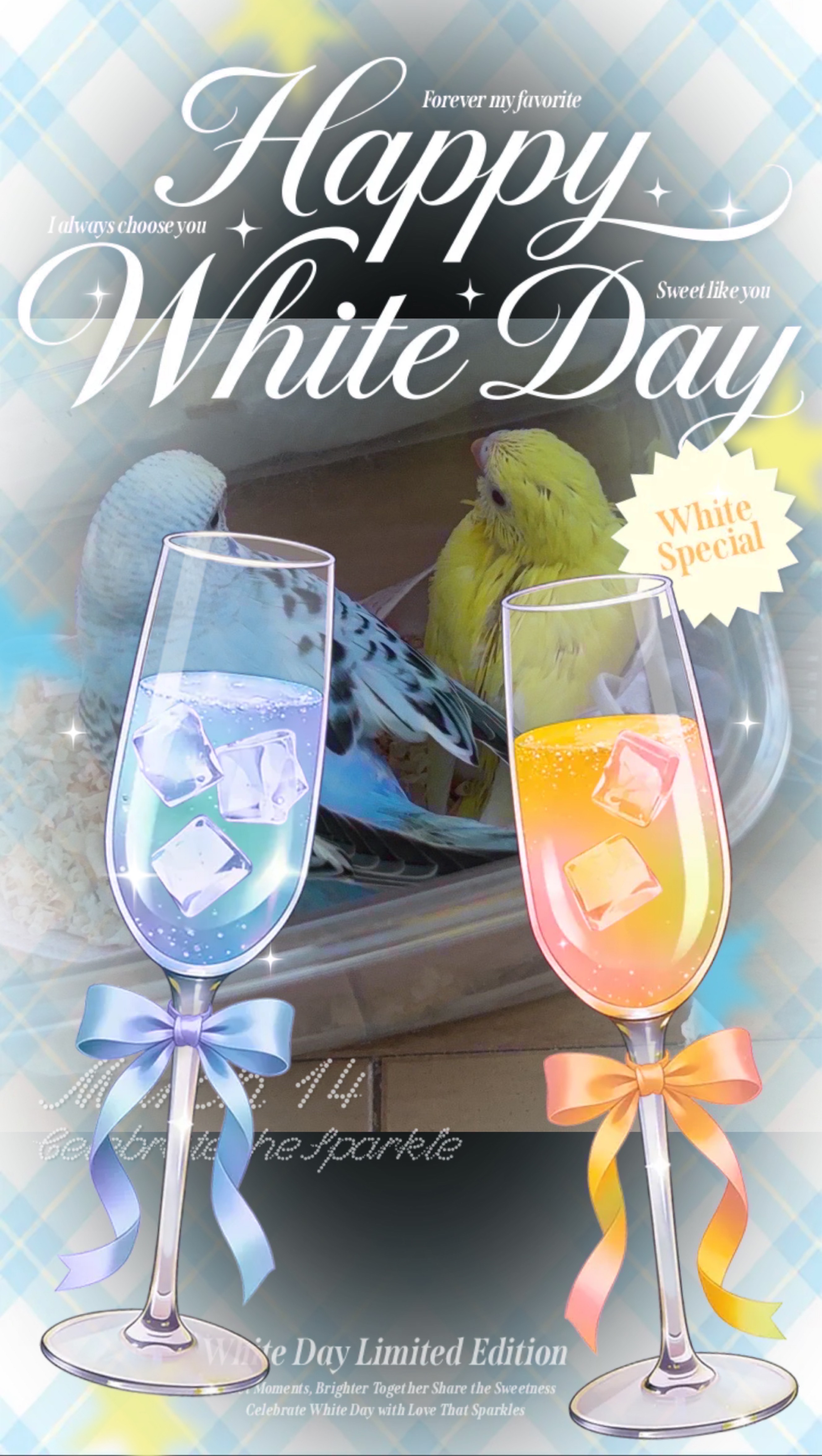 初見⭕️コラボ⭕️寝落ち⭕️雑談