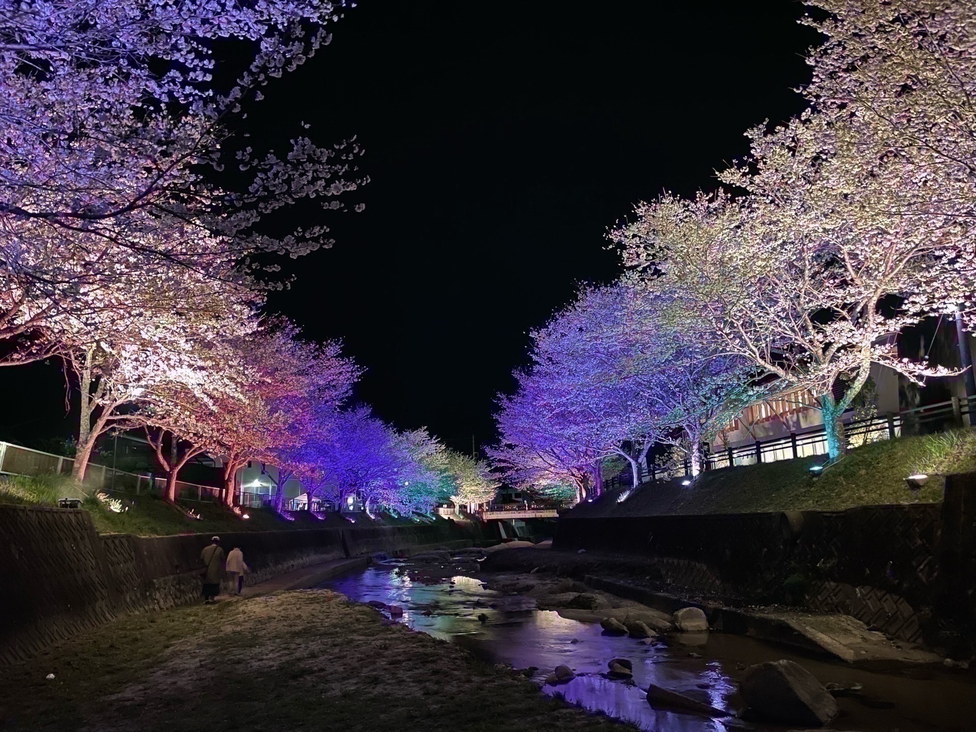 寝落ち過疎雑談枠