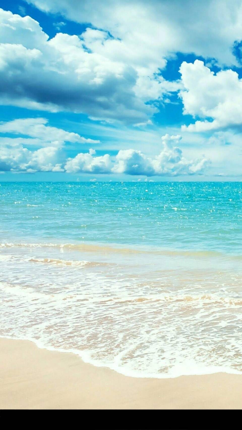 料理ながらコラボ🍺  ˘꒳​˘)ᐝ