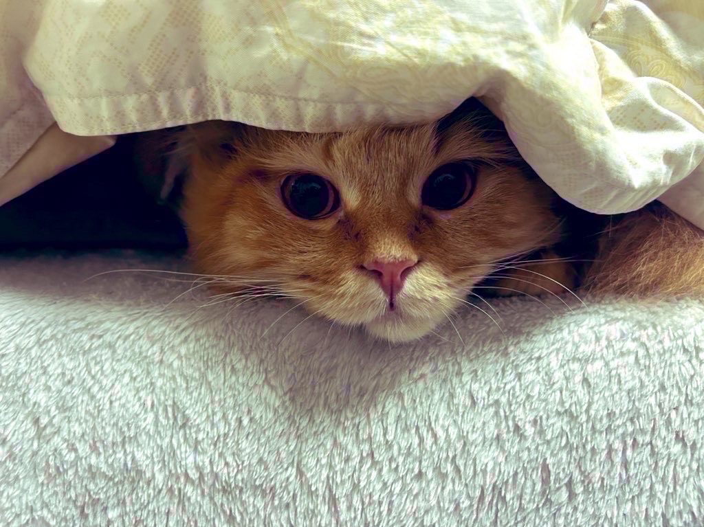 初見〇ちょっとだけ