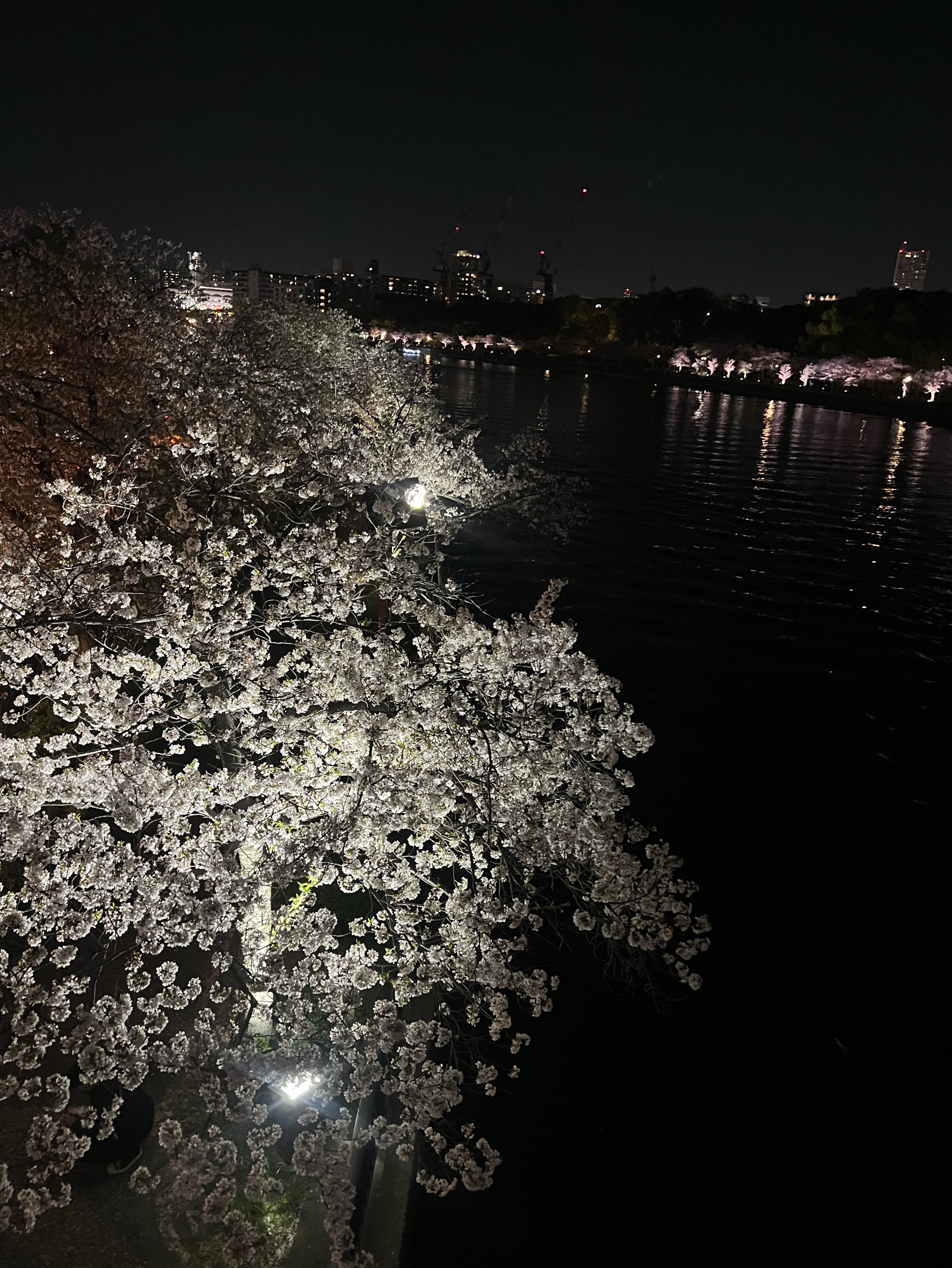 だらだら。/ｺﾗﾎﾞはご自由