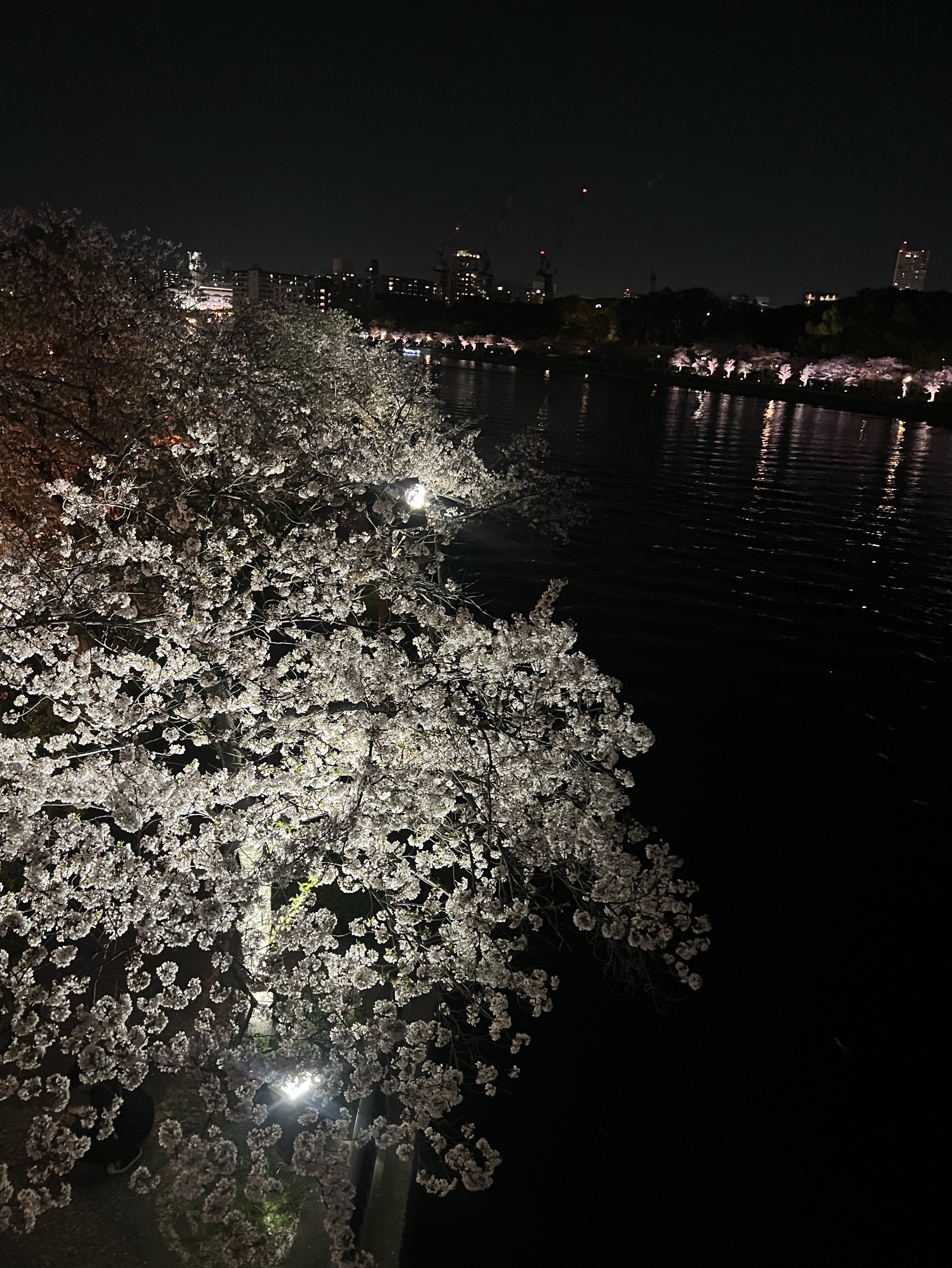 だらだら。/ｺﾗﾎﾞはご自由