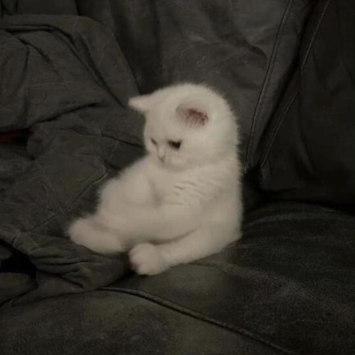 おはなしのくに