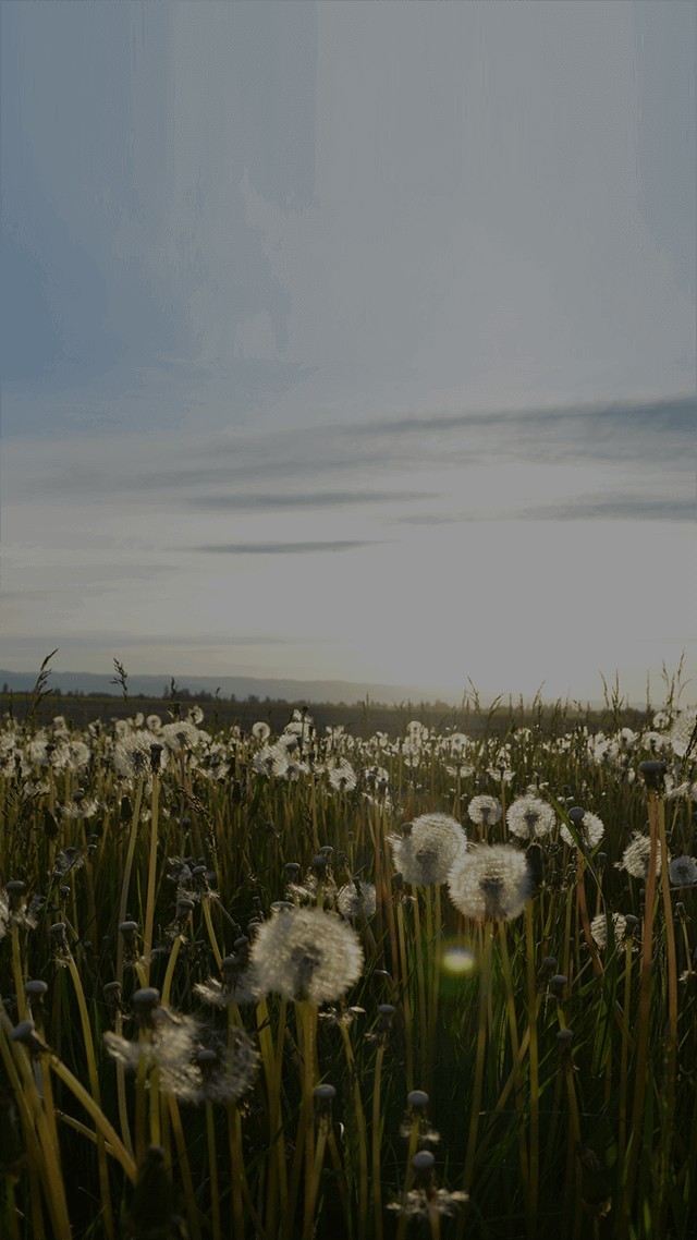 鼻歌とギター練習