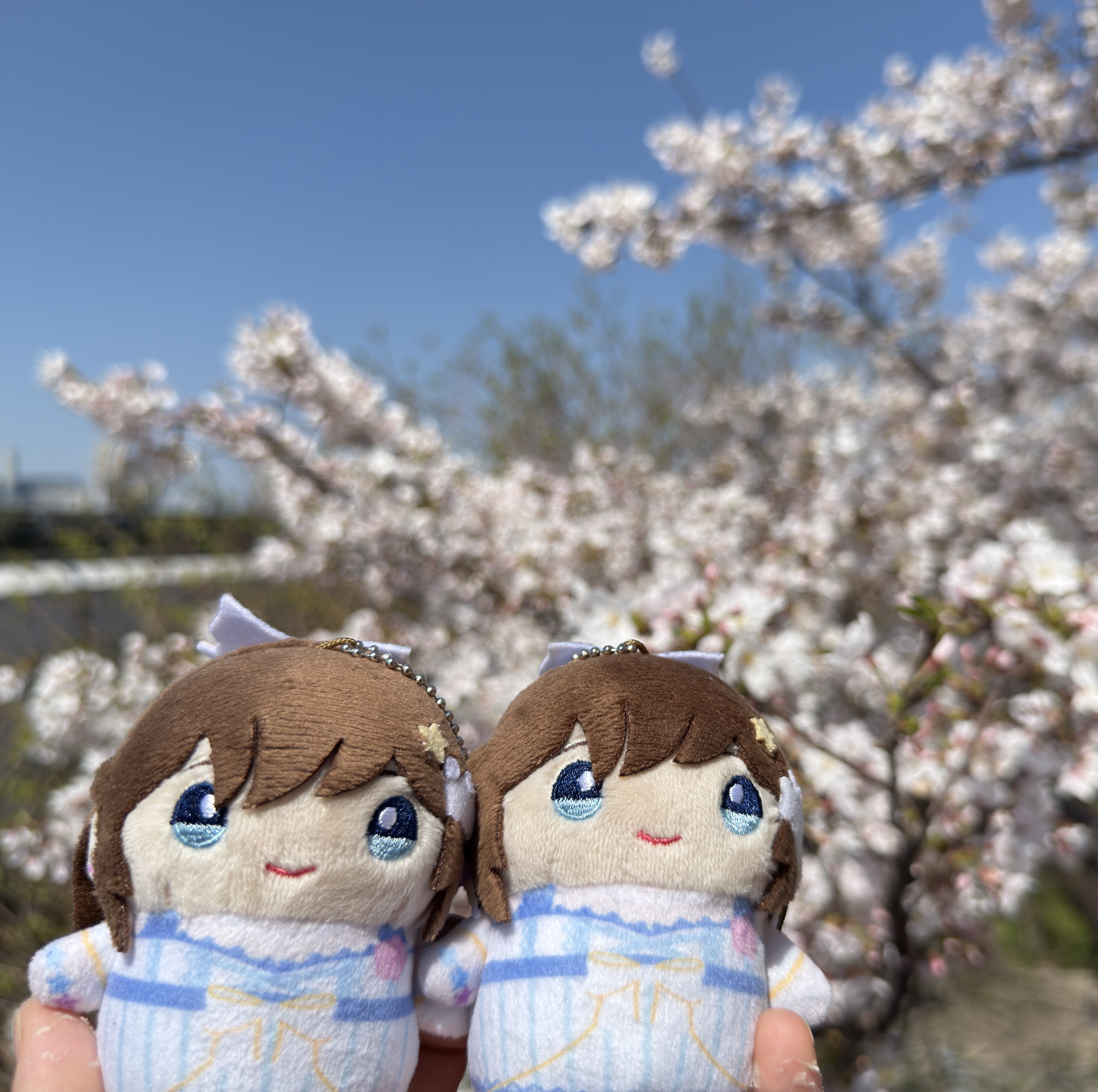 ほろよい寝落ち💤💭