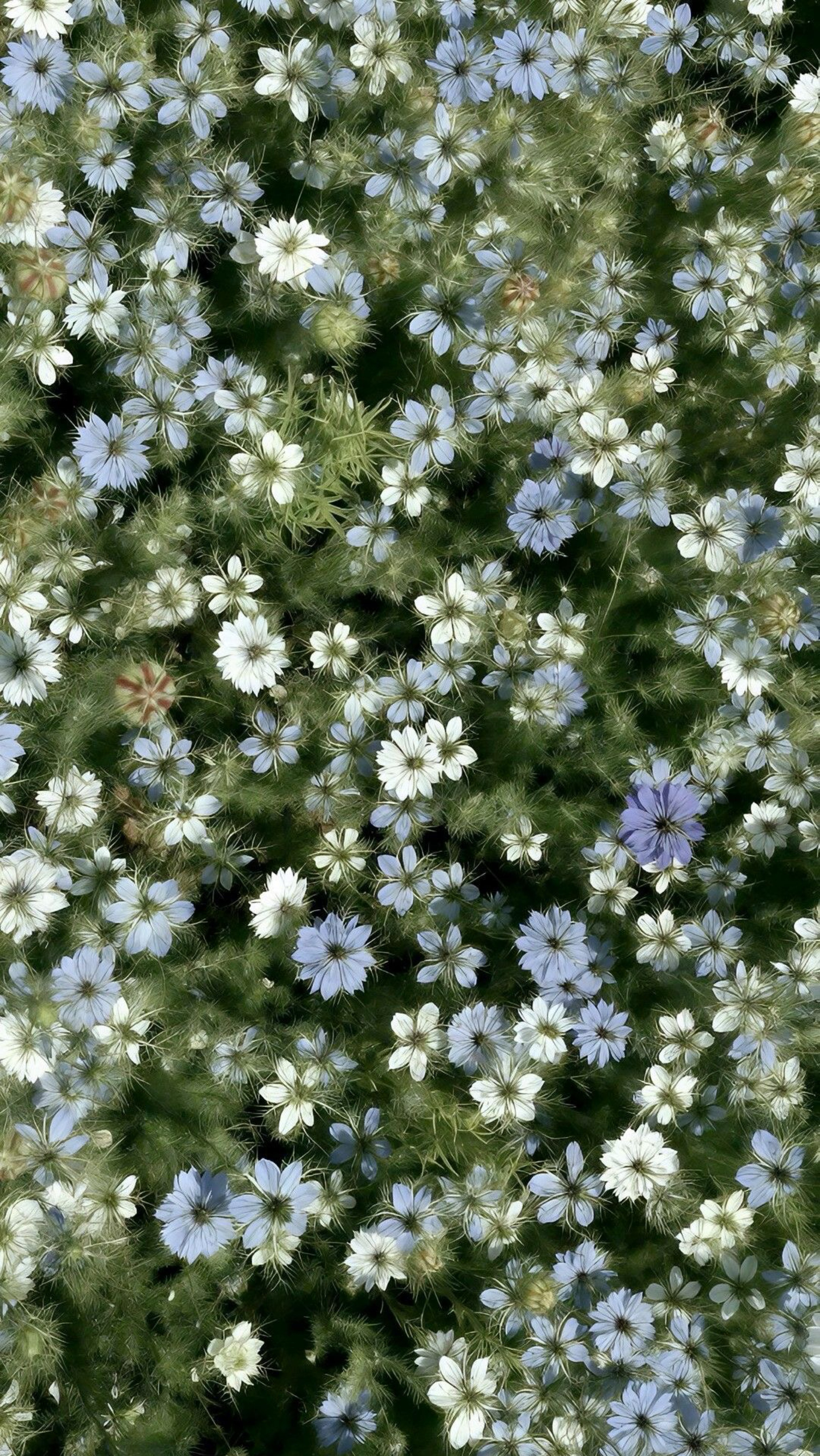 初見◎はなそー！