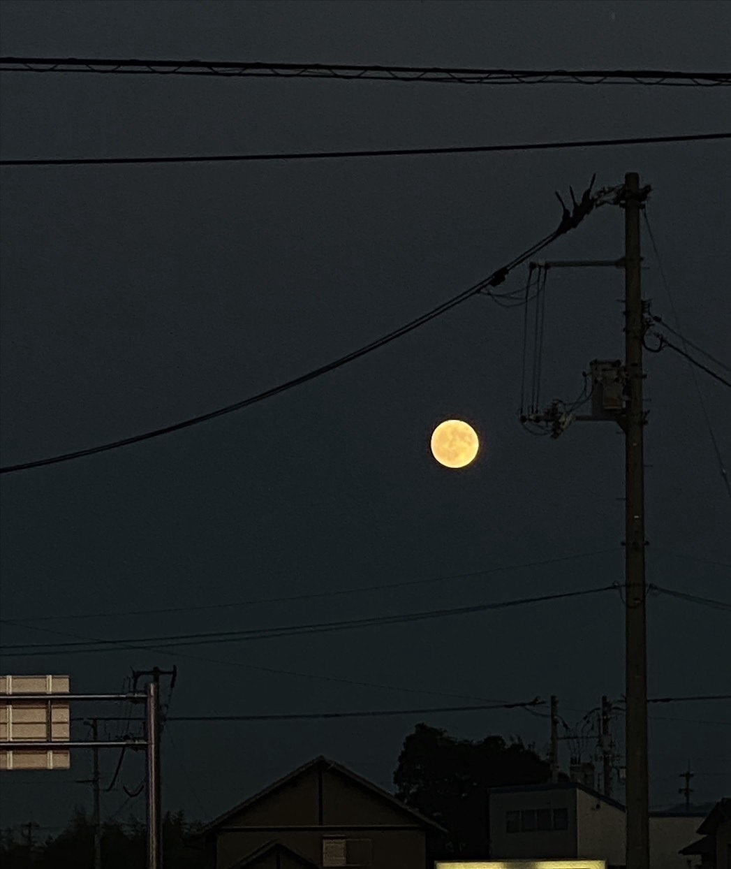 ひまじん