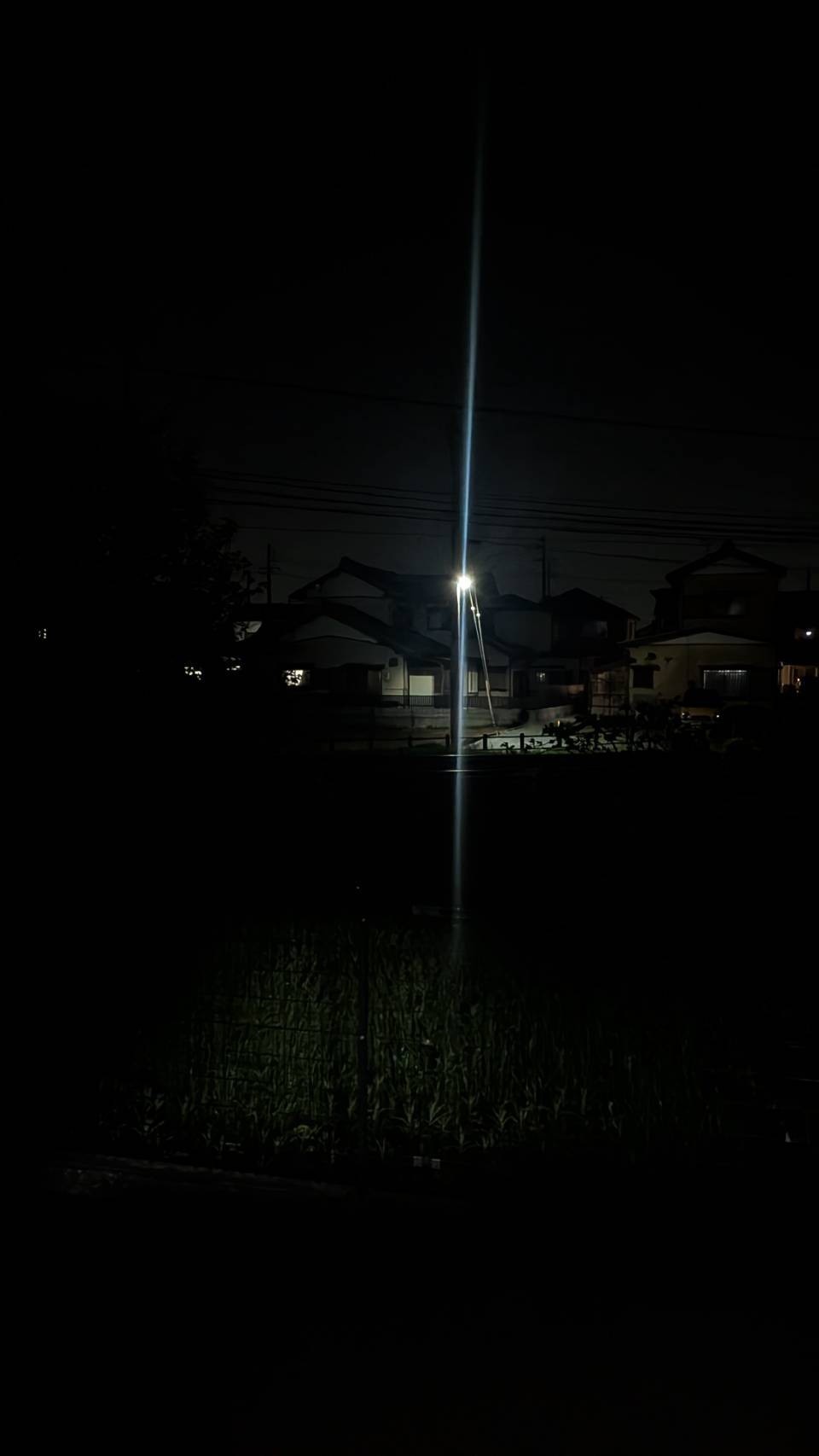 ひまー