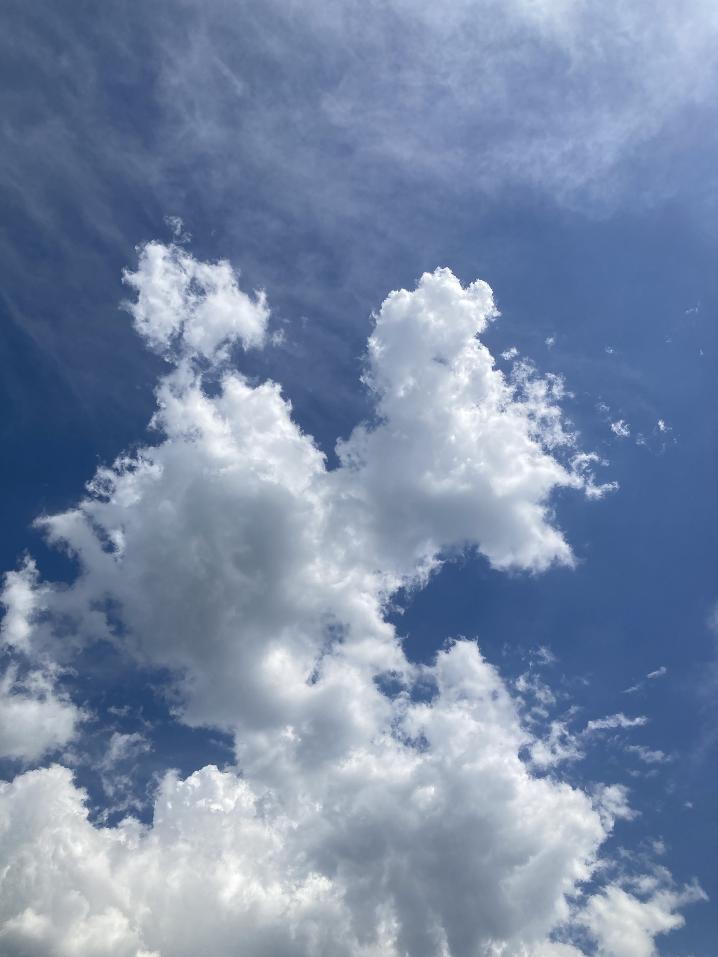 朝のの音分補給☀️ 寝落ち