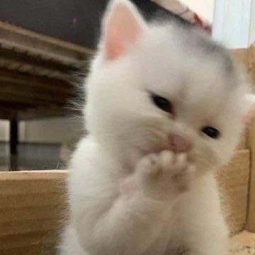 はなそう