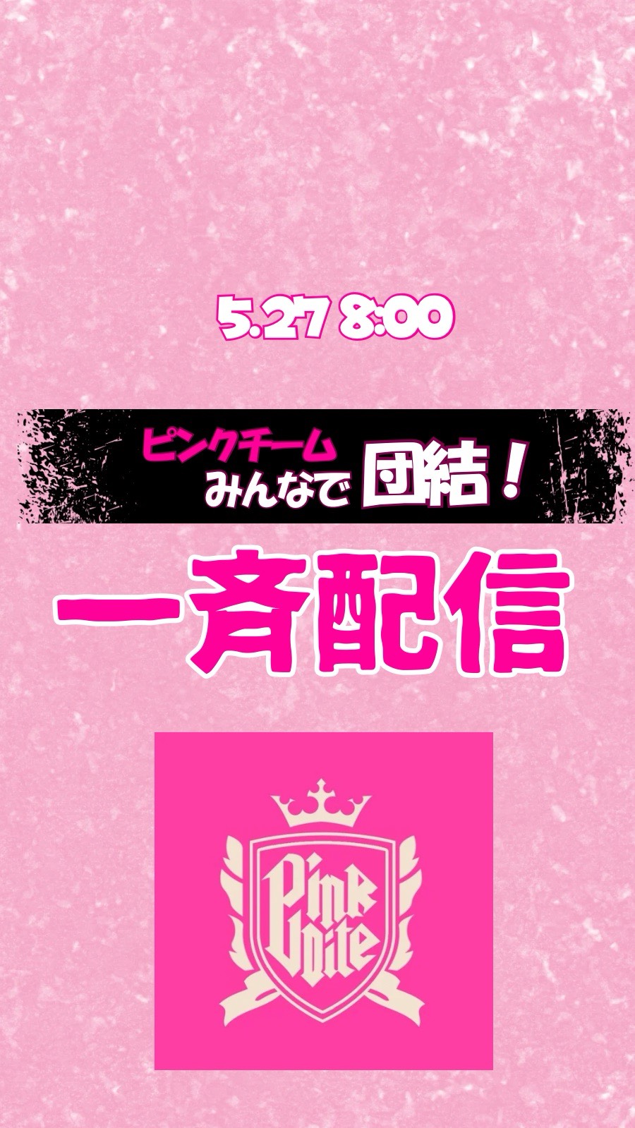 🩷ピンクチーム一斉配信🩷