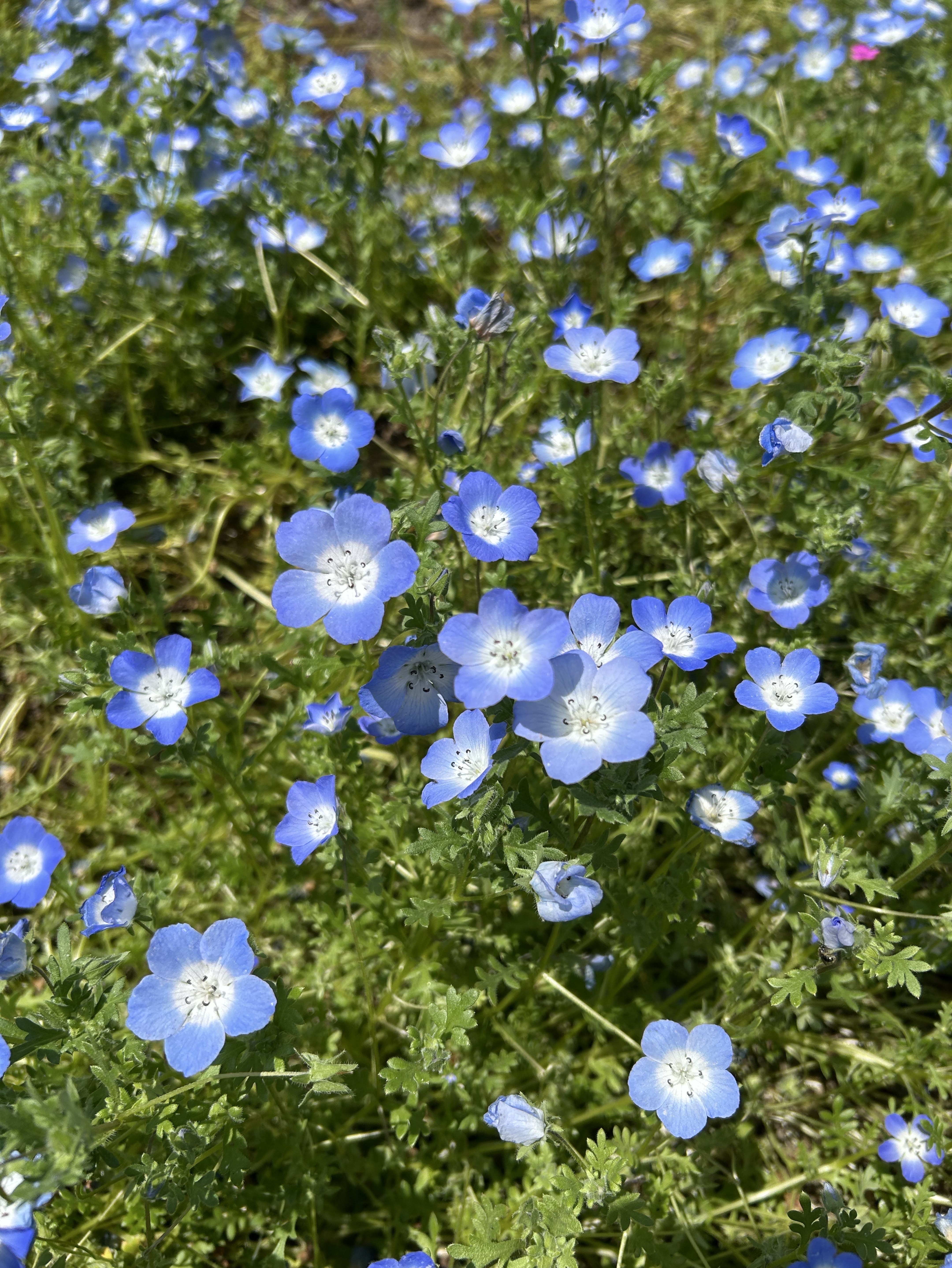 お話しましょ🌟