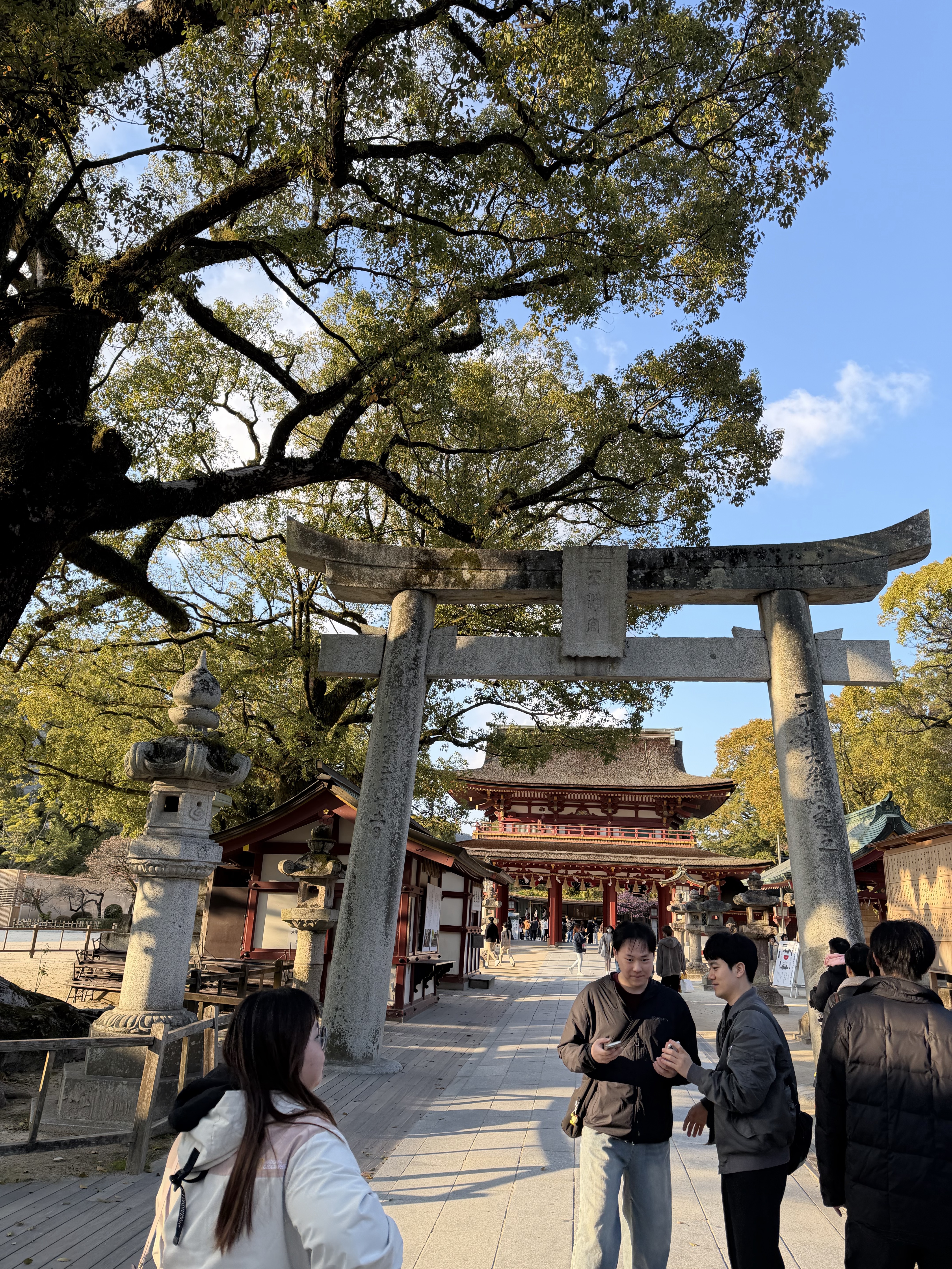 初心者、みんなはなそ