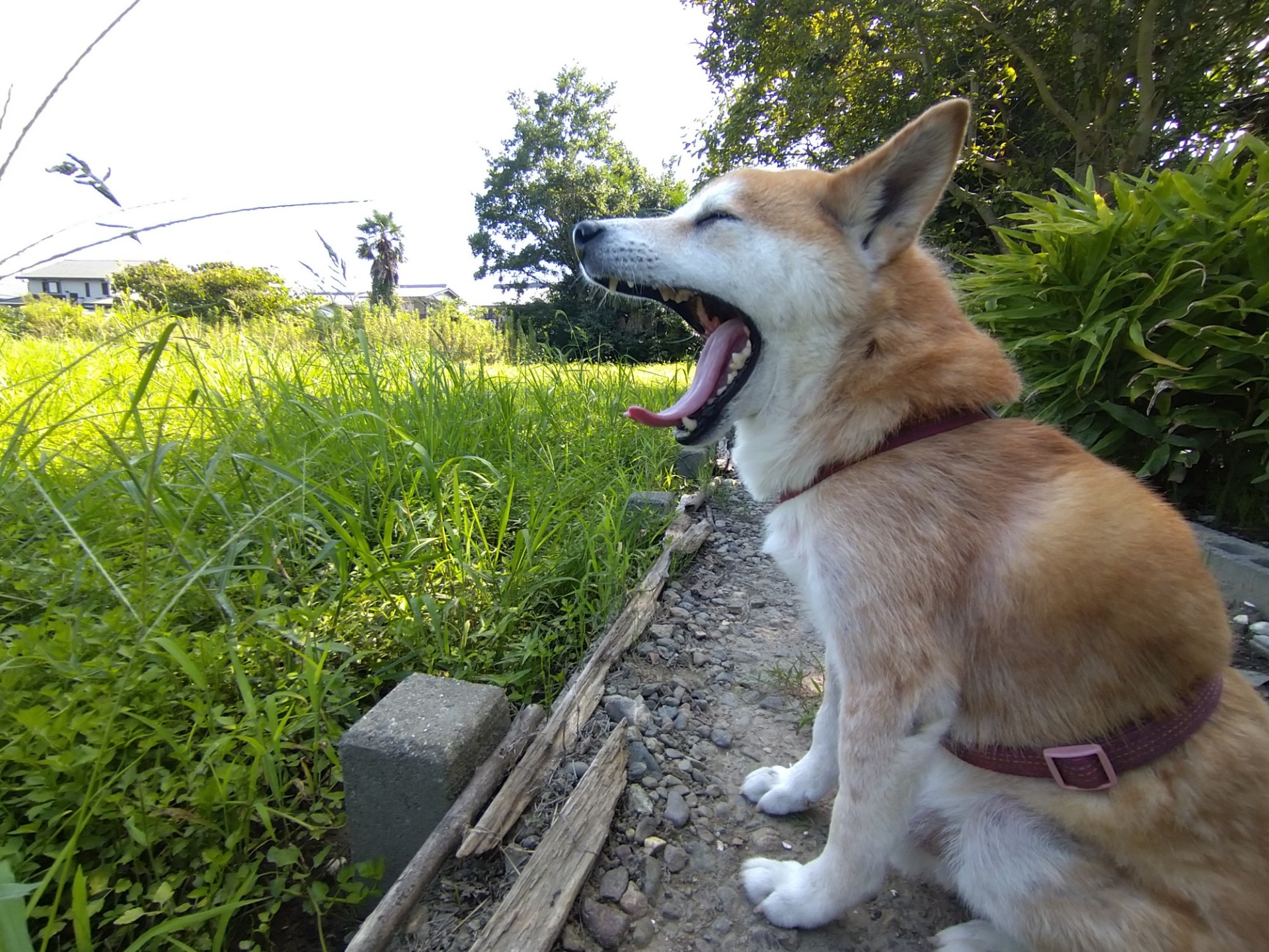 どーでもいい話がしたい︎︎☾*。