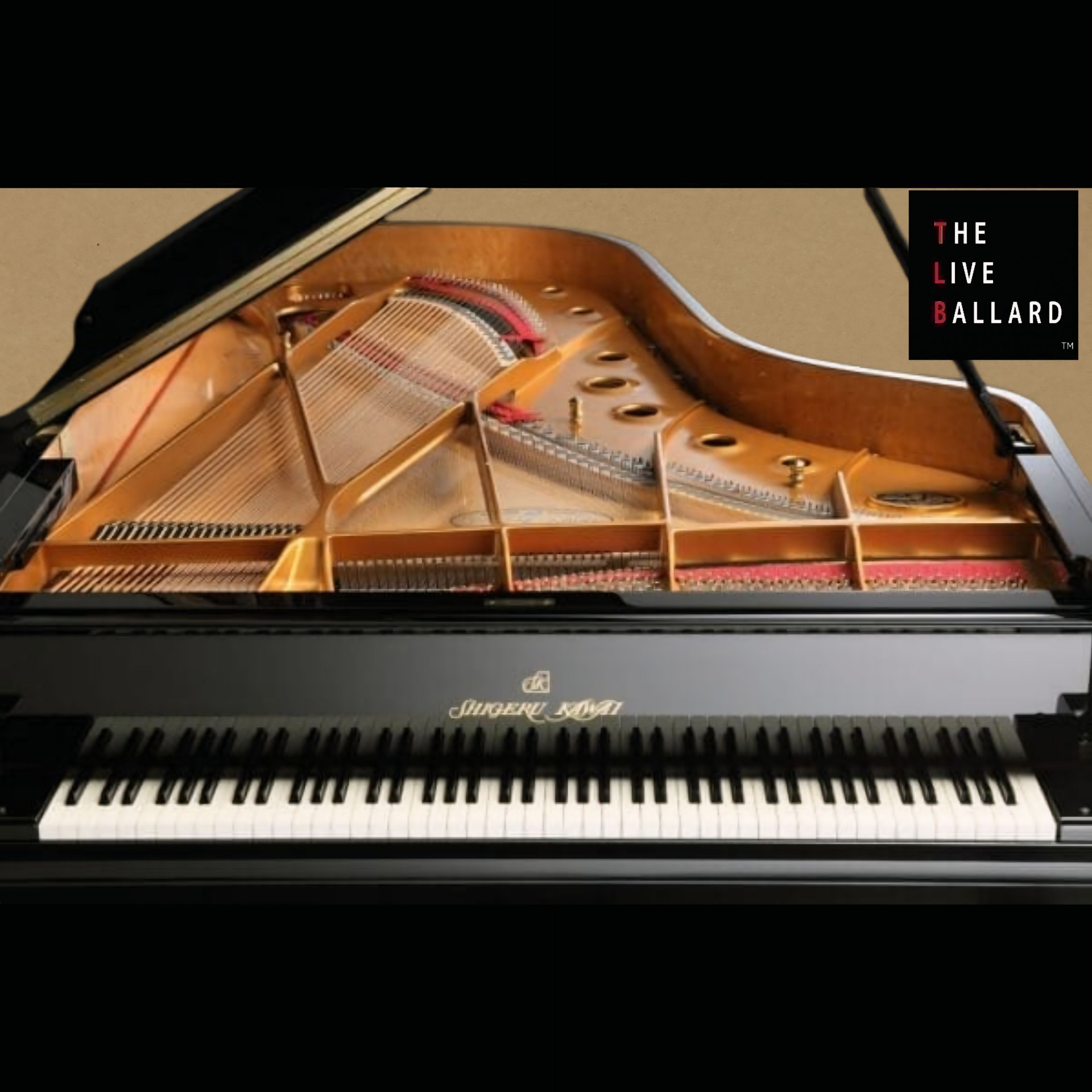 🎹🎵 昼まで。