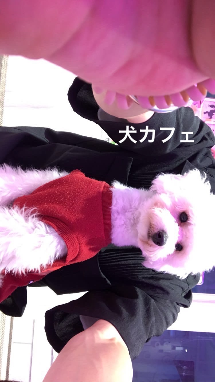 ひまー